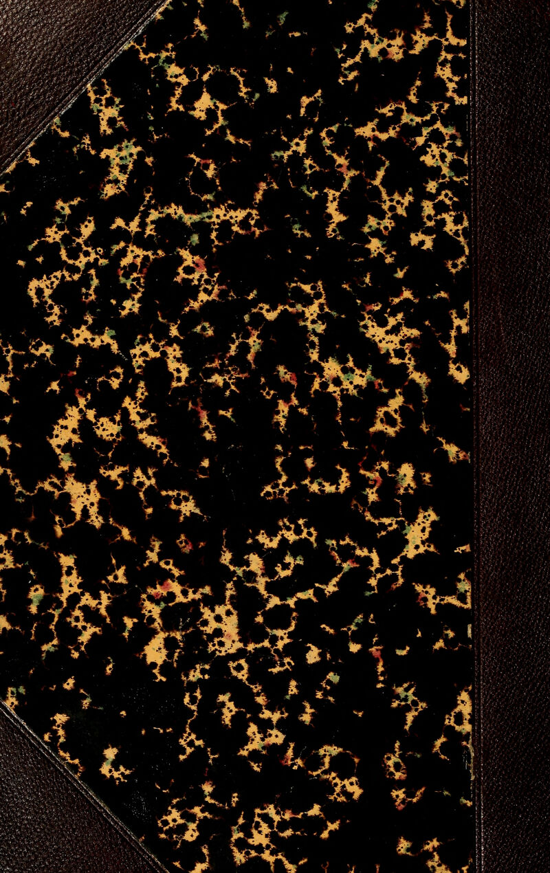 '«: >- ^v ^4 -■-*■„. r^5^^ [ ^^M .^^ ,tìJ!^Ì ¥^-. t^