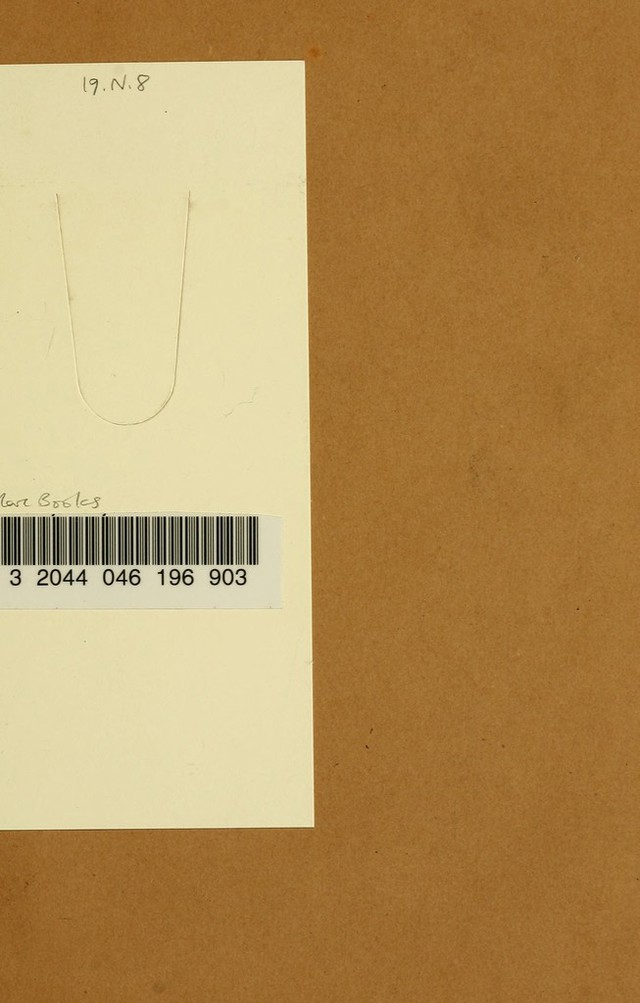 digitised image 3