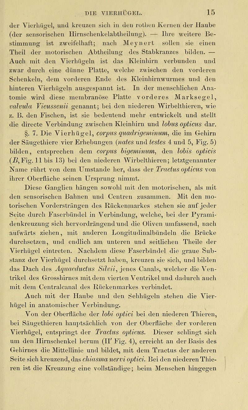 dcr Vierhiigel, uiul krcuzeii sicli in dan rotliuii Kcnicii der llaubo (der sensorisclien Ilirnschenkelabtlieilung). — Ilivc weitere Bo- stimmung ist zweifelhaft; nach Meynert sollen sie einen Thoil dev motorischen Abthcilung des Stabkranzes bilden. — Audi init den Vierhugeln ist das Kleinliivn verbunden und zwar durch eine diinne Platte, welche zwischen den vorderen Schenkeln, dem vorderen Ende des Kleinliirnwurmes und den hintei'en Vierliiigeln ausgespannt ist. In der menschlichen Ana- tomic wird diese raembranose Platte vorderes Marksegel, valvula Vieussenii genannt; bei den niederen Wirbelthieren, wie z. B. den P'ischen, ist sie bedeutend melir entwickelt und stellt die directs Verbindung zwischen Kleinhirn und lobus opticus dar. §. 7. Die Vierhiigel, corpus quadrigeminum, die im Gehirn der Saugethiere vier Erhebungen (nates und testes 4 und 5, Fig, 5) bilden, entsprechen dem corpus bigeminum, den lohis opticis (jB,Fig. 11 bis 13) bei den niederen Wirbelthieren; letztgenannter Name riihrt von dem Umstande her, dass der Tractus opticus von ihrer OberflJiche seinen Ursprung nimmt. Diese Ganglien hangen sowohl mit den motorischen, als mit den sensorischen Bahnen und Centren zusammen. Mit den mo- torischen Vorderstrangen des Riickenmarkes stehen sie auf jeder Seite durch Faserbiindel in Verbindung, welche, bei der Pyrami- denkreuzung sich hervordrangendund die Oliven umfassend, nach SoTfwarts ziehen, mit anderen Longitudinalbiindeln die Briicke durchsetzen, und endlich am unteren und seitlichen Theile der Vierhiigel eintreten. Nachdem diese Faserbiindel die graue Sub- stanz der Vierhiigel dui'chsetzt haben, kreuzen sie sich, und bilden das Dach des Aquaeductus Silvii, jenes Canals, welcher die Ven- trikel des Grosshirues mit dem vierten Ventrikel und dadurch audi mit dem Centralcanal des Riickenmarkes verbindet. Auch mit der Haube und den Sehhiigeln stehen die Vier- hiigel in anatomischer Verbindung. Von der Oberfliiche der lobi optici bei den niederen Thieren, bei Siiugethieren hauptsachlich von der Oberflache der vorderen Vierhiigel, entspringt der Tractus opticus. Dieser schlingt sich um den Hirnschenkel herum (II' Fig. 4), erreicht an der Basis des Gehirnes die Mittellinie und bildet, mit dem Tractus der anderen Seite sich kreuzend, das cliiasma nervi optici. Bei den niederen Thie- ren ist die Kreuzung eine vollstandige; beim Menschen hingegen