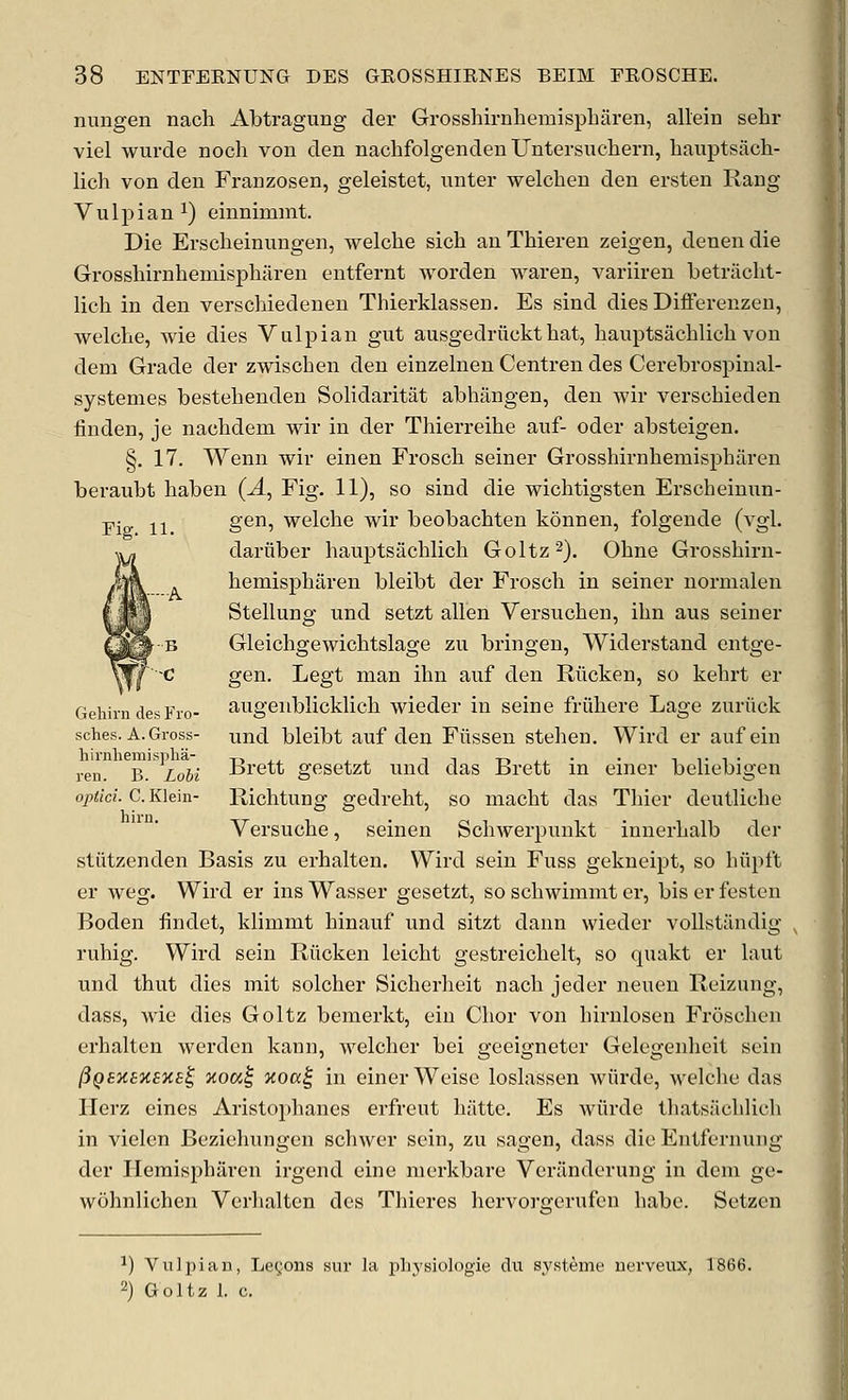 nungen nach Abtragung der GrosshirnhemispLaren, allein sehr viel wurde nocli von den nachfolgenden Untersuchern, hauptsach- lich von den Franzosen, geleistet, nnter welchen den ersten Rang V u 1 p i a n 1) einnimnit. Die Erscheinungen, welclie sich an Thieren zeigen, denen die Grosshirnhemispliaren entfernt worden waren, variiren betriicht- lich in den verschiedenen Thierklassen. Es sind dies Differenzen, welche, wie dies Vulpian gut ausgedriickthat, hauptsachlich von dem Grade der zwischen den einzelnen Centren des Cerebrospinal- systemes bestehenden Solidaritat abhilngen, den wir verschieden finden, je nachdem wir in der Thierreihe auf- oder absteigen. §. 17. Wenn wir einen Froscli seiner Grosshirnhemispharen beraubt haben (A, Fig. 11), so sind die wichtigsten Erscheinun- p- J J gen, welche wir beobachten konnen, folgende (vgl. dariiber hauptsaclilich Goltz^), Ohne Grosshirn- hemisj)haren bleibt der Frosch in seiner normalen Stellung und setzt alien Versuchen, ihn aus seiner Gleichgewichtslage zu bringen, Widerstand entge- gen. Legt man ihn auf den Riicken, so kehrt er Gehirn des Fro- augenblicklich wieder in seine friihere Lage zuriick sches. A.Gross- und bleibt auf den Filssen stehen. Wird er aufein ren. ^ B Lobi Brett gesetzt und das Brett in einer beliebigen optici. C.K\em- Richtung gedreht, so macht das Thier deutliche Versuche, seinen Schwerpunkt innerhalb der stiitzenden Basis zu erhalten. Wird sein Fuss gekneipt, so hiipft er weg. Wird er ins Wasser gesetzt, so schwimmt er, bis er festen Boden findet, klimmt hinauf und sitzt dann wieder vollstilndig ruhig. Wird sein Riicken leicht gestreichelt, so quakt er laut und thut dies mit solcher Sicherheit nach jeder neuen Reizung, dass, wie dies Goltz bemerkt, ein Chor von hirnlosen Frosclien erhalten werden kann, welcher bei geeigneter Gelegenheit sein (5Q8ii8X8K£^ xow| xoa^ in einer Weisc loslassen wiirde, welche das Herz eines Aristophanes erfreut hiitte. Es Aviirde thatsiichlich in vielen Bezieliungen schwer seiu, zu sagen, dass die Entfernuiig der Hemisphiiren irgend eine nierkbare Verilnderung in dem ge- wohnlichen Verhalten des Thieres hervorgerufen habe. Setzen ^) Vulpian, Le(;oiis sur la plij-siologie du systeme uerveux, 1866. ^) Goltz 1. c.