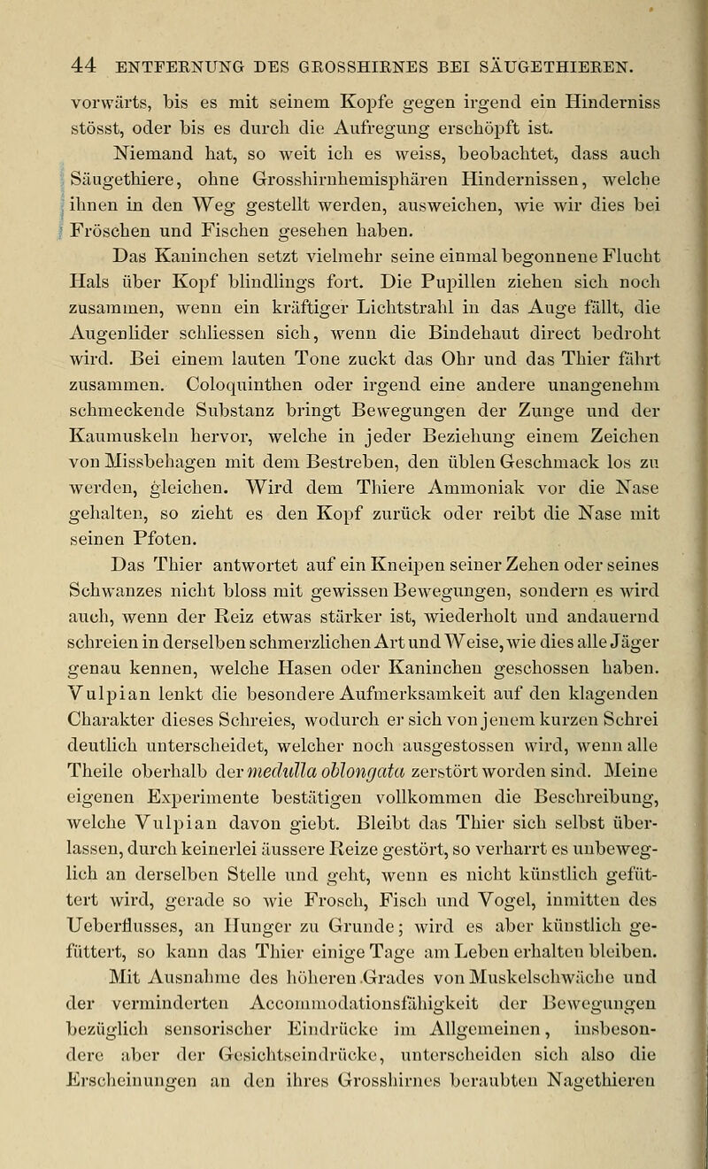 vorwarts, bis es mit seinem Kopfe gegen irgend ein Hinderniss stosst, Oder bis es durch die Aufregung erschSpft ist. Niemand hat, so weit icli es weiss, beobachtet, dass audi 5 Saugethiere, ohne Grosshiruhemisphiiren Hindernissen, welcbe I ihnen in den Weg gestellt werden, ausweichen, wie wir dies bei f Froschen und Fischen gesehen haben. Das Kauinclien setzt viebiiehr seine einiual begonnene Flucbt Hals liber Kopf blindlings fort. Die Pupillen ziehen sich nocb zusamiuen, wenn ein kraftiger Lichtstralil in das Auge fiillt, die Angenlider schliessen sich, wenn die Bindehaut direct bedroht wird. Bei eineni lauten Tone zuckt das Ohr und das Thier fahrt zusammen. Coloquinthen oder irgend eine andere unangenehni schmeckeude Snbstanz bringt Bewegungen der Zunge und der Kaumuskeln hervor, welche in jeder Beziehung einem Zeiclien von Missbehagen mit deni Bestreben, den liblen Geschmack los zu werden, gleichen. Wird dem Thiere Ammoniak vor die Nase gehalten, so zieht es den Kopf zuriick oder reibt die Nase mit seinen Pfoten. Das Thier antwortet auf ein Kneipen seiner Zehen oder seines Schwanzes nicht bloss mit gewissen Bewegungen, sondern es wird auch, wenn der Reiz etwas starker ist, wiederholt und andauernd schreien in derselben schmerzlichen Art und Weise, wie dies alle Jager genau kennen, welche Hasen oder Kaninchen geschossen haben. Vulpian lenkt die besondere Aufmerksamkeit auf den klagenden Charakter dieses Schreies, wodurch er sich von jenemkurzen Schrei deutlich unterscheidet, welcher noch ausgestossen wird, wenn alle Theile oberhalb dermedulla oblongata zer&tort warden sind. Meine eigenen Experimente bestiltigen vollkommen die Beschreibung, welche Vulpian davon giebt. Bleibt das Thier sich selbst iiber- lassen, durch keinerlei ilussere Reize gestort, so verharrt es unbeweg- lich an derselben Stelle und geht, wenn es nicht kiinstlich gefiit- tert wird, gerade so wie Frosch, Fisch und Vogel, inmitten des Ueberflusses, an Hunger zu Grunde; wird es aber kiinstlich ge- fiittert, so kann das Thier einige Tage am Lebcn erhalten bleiben. Mit Ausnahme des hoheren .Grades von Muskelschwiicbe und der vermindertcn Accommodationsfiihigkeit der Bewegungen beziiglich sensorischer Eiiidriicke im AUgemeinen, insbeson- dere aber der Gesichtseindriioke, unterscheiden sich also die Erscheinungen an den ihres Grosshirnos beraubten Nagethieren