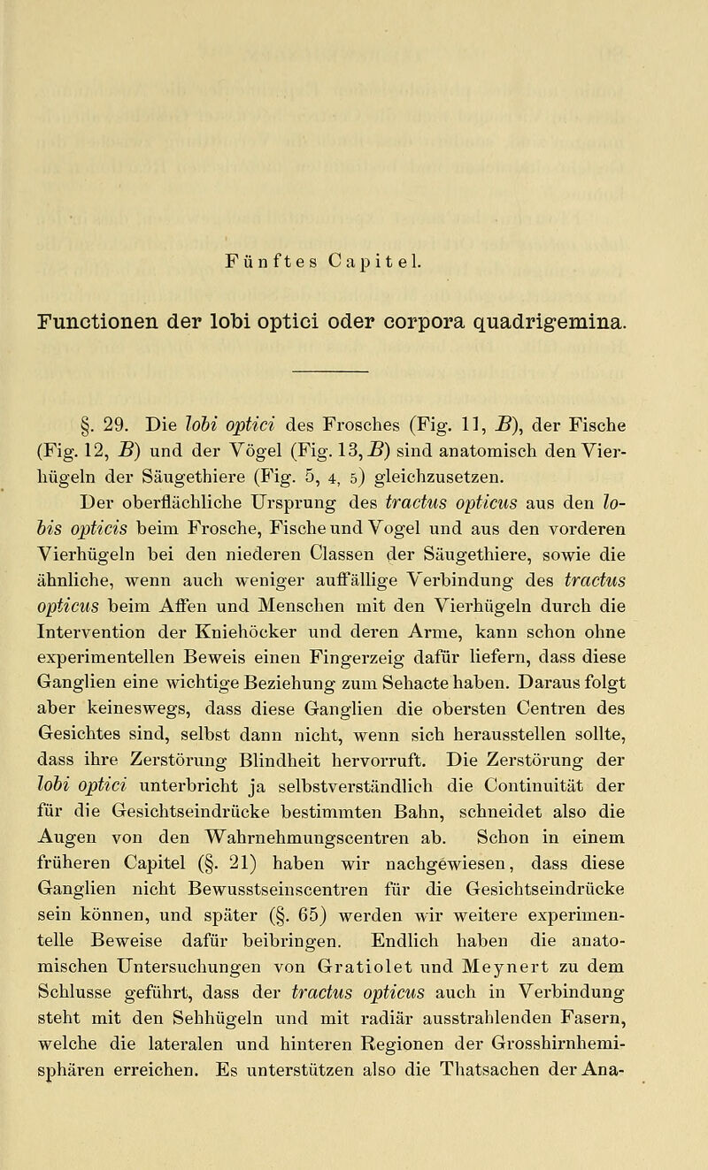 Fiinftes Capitel. Functionen der lobi optici Oder corpora quadrigemina. §. 29. Die lohi optici des Frosches (Fig. 1], 5), der Fische (Fig. 12, B) und der Vogel (Fig. 13,-B) sind anatomisch den Vier- liugeln der Saugethiere (Fig. 5, 4, 5) gleichzusetzen. Der oberflachliche Ursprung des tractus opticus aus den lo- his opticis beim Frosche, Fische und Vogel und aus den vorderen Vierhiigeln bei den niederen Classen der Saugethiere, sowie die ahnliche, wenn auch weniger auffallige Verbindung des tractus opticus beim Affen und Menschen mit den Yierhiigeln durch die Intervention der Kniehocker und dei-en Arme, kann schon ohne experimentellen Beweis einen Fingerzeig dafur liefern, dass diese Ganglien eine wichtige Beziehung zuni Sehacte haben. Darausfolgt aber keineswegs, dass diese Ganglien die obersten Centren des Gesichtes sind, selbst dann nicht, wenn sich herausstellen sollte, dass ihre Zerstorung Blindheit hervorruft. Die Zerstorung der lohi optici unterbricht ja selbstverstandlieh die Continuitat der fiir die Gesichtseindriicke bestimmten Bahn, schneidet also die Augen von den Wahrnehmungscentren ab. Schon in einem friiheren Capitel (§. 21) haben wir nachgewiesen, dass diese Ganglien nicht Bewusstseinscentren fur die Gesichtseindriicke sein konnen, und spater (§. 65) werden wir weitere experimen- telle Beweise dafiir beibringen. Endlich haben die anato- mischen Untersuchungen von Gratiolet und Meynert zu dem Schlusse gefuhrt, dass der tractus opticus auch in Verbindung steht mit den Sehhiigeln und mit radiar ausstrahlenden Fasern, welche die lateralen und hinteren Regionen der Grosshirnhemi- spharen erreichen. Es unterstiitzen also die Thatsachen der Ana-