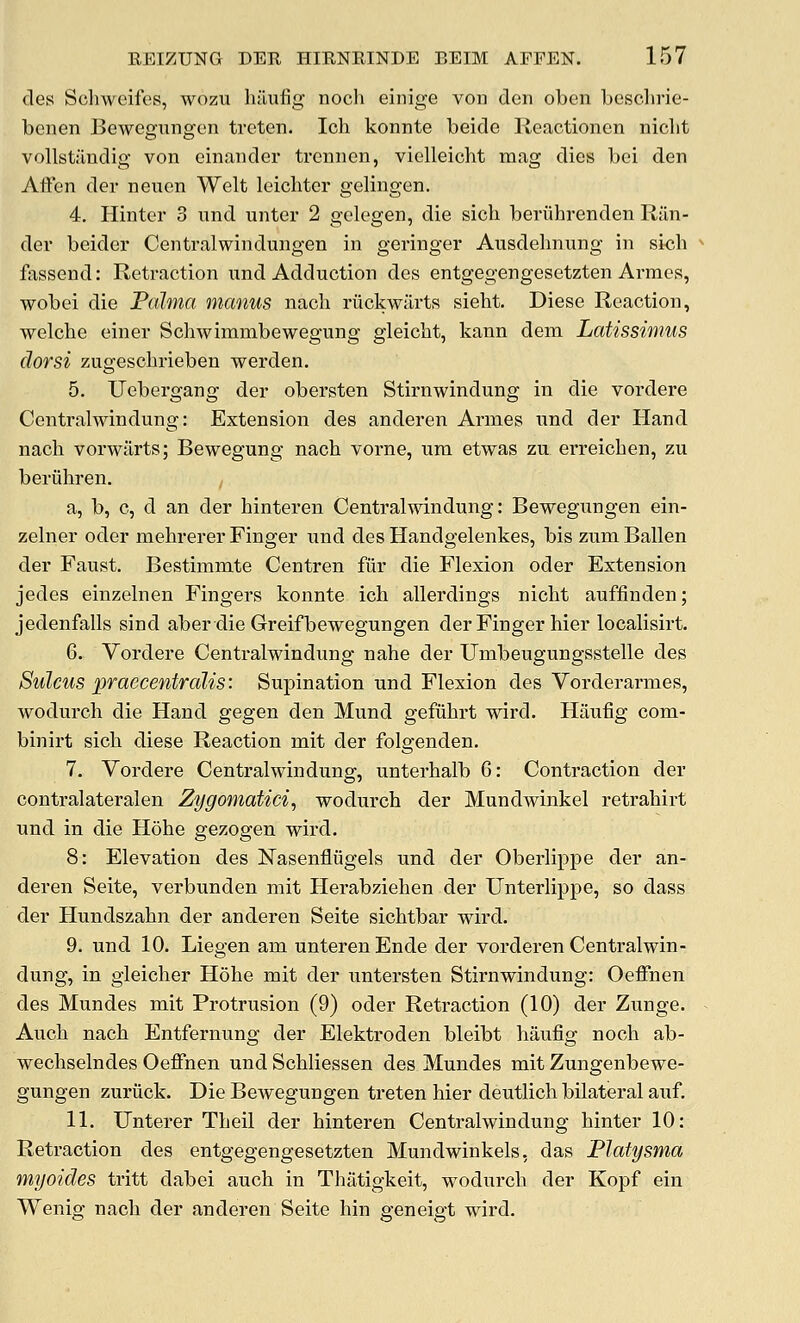 des Sclnveifcs, wozu hiiufig noch einige von den oben besclu'ie- bcnen Bewegiingen treten. Ich konnte beide Reactioncn nicht vollstuudig von einander trennen, vielleicht mag dies bei den Affen der neuen Welt leichter gelingen. 4. Hinter 3 und unter 2 gelegen, die sich beriihrenden Riin- der beider Centralwindungen in geringer Ausdehnung in si<5h fassend: Retraction iind Adduction des entgegengesetzten Armcs, wobei die Palma manus nacli riickwiirtR sieht. Diese Reaction, welche einer Schwimmbewegung gleicht, kann dem Latissimns dorsi zugesclirieben werden. 5. Uebergang der obersten Stirnwindung in die vordere Centralwindung: Extension des anderen Armes nnd der Hand nach vorwilrts; Bewegung nach vorne, xiim etwas zu erreicben, zu beriiliren. a, b, c, d an der hinteren Centralwindung: Bewegungen ein- zelner oder mehrerer Finger und des Handgelenkes, bis zum Ballen der Faust. Bestimmte Centren fur die Flexion oder Extension jedes einzelnen Fingers konnte ich allerdings niclit auffinden; jedenfalls sind aber die Greif bewegungen der Finger hier localisirt. 6. Vordere Centralwindung nahe der Umbeugungsstelle des Sulcus praecentralis: Supination und Flexion des Vorderarmes, wodurch die Hand gegen den Mund gefuhrt wird. Haufig com- binirt sich diese Reaction mit der folgenden. 7. Vordere Centralwindung, unterhalb 6: Contraction der contralateralen Zygomatici^ wodurch der Mundwinkel retrahirt und in die Hohe gezogen wird. 8: Elevation des Nasenfliigels und der Oberlippe der an- deren Seite, verbunden mit Herabziehen der TJnterlippe, so dass der Hundszahn der anderen Seite sichtbar wird. 9. und 10. Liegen am unterenEnde der vorderen Centralwin- dung, in gleicher Hohe mit der untersten Stirnwindung: Oeffnen des Mundes mit Protrusion (9) oder Retraction (10) der Zunge. Auch nach Entfernung der Elektroden bleibt haufig noch ab- wechselndes Oeffnen und Schliessen des Mundes mit Zungenbewe- gungen zuriick. Die Bewegungen treten hier deutlich bilateral auf. 11. Unterer Theil der hinteren Centralwindung hinter 10: Retraction des entgegengesetzten Mundwinkels, das Flaiysma myoides tritt dabei auch in Thiltigkeit, wodurch der Kopf ein Wenig nach der anderen Seite hin geneigt wird.