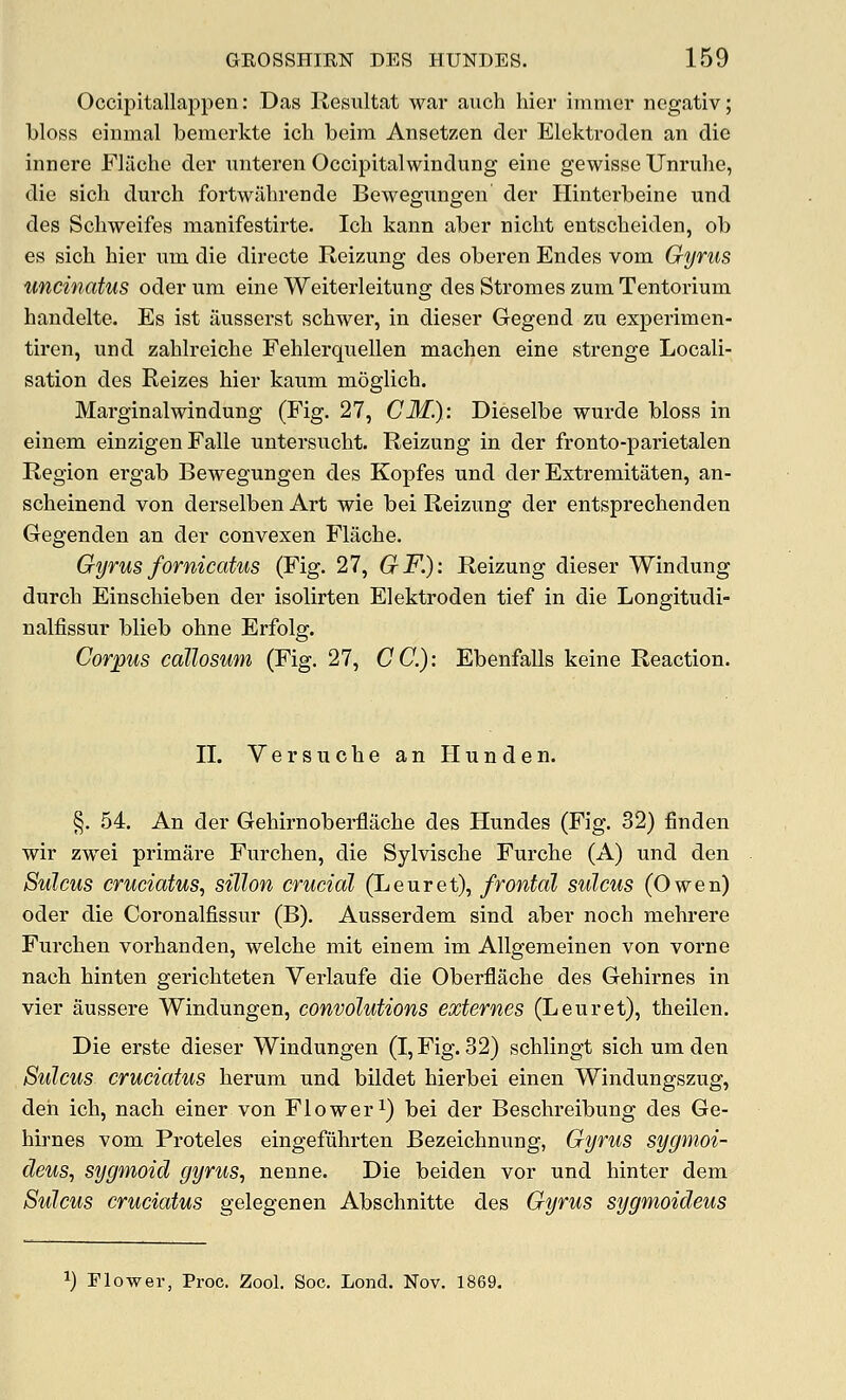 Occipitallappen: Das Resultat war axich hier immcr negativ; bloss ciiimal bemerkte ich beim Ansetzen der Elektroclen an die innere Fliiche der imteren Occipitalwindung eine gewisse XJnrulie, die sich durch fortwiihrende Bewegnngen der Hinterbeine und des Schweifes manifestirte. Icli kann aber niclit entscheiden, ob es sich hier iim die directe Reizung des oberen Endes vora Gyrus imcinatus oder um eine Weiterleitung des Stromes zum Tentorium handelte. Es ist iiusserst schwer, in dieser Gegend zu experimen- tiren, und zahlreiche Fehlerquellen machen eine strenge Locali- sation des Reizes hier kaum moglich. Marginalwindung (Fig. 27, CM.): Dieselbe wurde bloss in einem einzigen Falle untersucht. Reizung in der fronto-parietalen Region ergab Bewegungen des Kopfes und der Extremitaten, an- scheinend von derselben Art wie bei Reizung der entsprechenden Gegenden an der convexen Flache. Gyrus fornicatus (Fig. 27, GF.): Reizung dieser Windung durch Einschieben der isolirten Elektroden tief in die Longitudi- nalfissur blieb ohne Erfolg. Corpus callosum (Fig. 27, CC): Ebenfalls keine Reaction. II. Versuche an Hunden. §. 54. An der Gehirnoberflache des Hundes (Fig. 32) finden wir zwei primare Furchen, die Sylvische Furche (A) und den Sulcus cruciatus, sillon crucial (Leuret), frontal sulcus (Owen) oder die Coronalfissur (B). Ausserdem sind aber noch mehrere Furchen vorhanden, welche mit einem im Allgemeinen von vorne nach hinten gerichteten Verlaufe die Oberflache des Gehirnes in vier aussere Windungen, convolutions externes (Leuret), theilen. Die erste dieser Windungen (I, Fig. 32) schlingt sich um den Sulcus cruciatus herum und bildet hierbei einen Windungszug, deii ich, nach einer von Floweri) bei der Beschreibung des Ge- hirnes vom Proteles eingefuhrten Bezeichnung, Gyrus sygnioi- deus, sygmoid gyrus., nenne. Die beiden vor und hinter dem Sulcus cruciatus gelegenen Abschnitte des Gyrus sygmoideus 1) Elower, Proc. Zool. Soc, Lond. Nov. 1869.