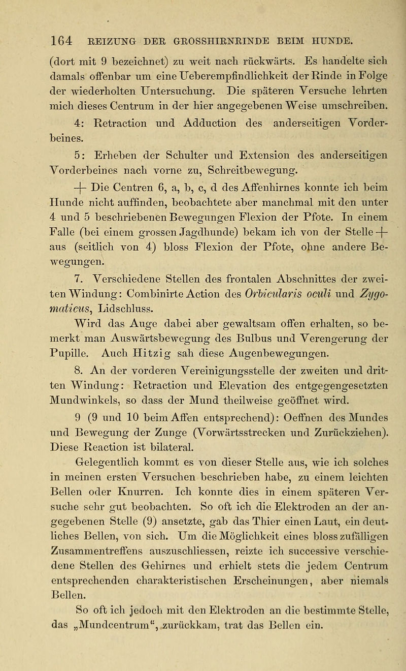 (dort mit 9 bezeichnet) zu weit nacli ritckwarts. Es handelte sicli damals offenbar um eine Ueberempfindlichkeit derRinde inFolge der wiederholten Untersuchung. Die spateren Versucbe lehrten mich dieses Centrum in der bier angegebenen Weise iimscbreiben. 4: Retraction und Adduction des anderseitigen Vorder- beines. 5: Erheben der Scbulter iind Extension des anderseitigen Vorderbeines nach vorne zu, Schreitbewegung. -|- Die Centren 6, a, b, c, d des Affenbirnes konnte icb beim Hunde nicbt auffinden, beobacbtete aber mancbmal mit den unter 4 und 5 beschriebenen Bewegungen Flexion der Pfote. In einem Falle (bei einem grossen Jagdbunde) bekam icb von der Stelle-f- aus (seitlicb von 4) bloss Flexion der Pfote, obne andere Be- wegungen. 7. Verscbiedene Stellen des frontalen Abscbnittes der zwei- ten Windung: Combinirte Action des Orbicularis ocuU und Zygo- maticus, Lidschluss. Wird das Axige dabei aber gewaltsam oflen erbalten, so be- merkt man Auswartsbewegung des Bulbus und Verengerung der Pupille. Audi Hitzig sab diese Augenbewegungen. 8. An der vorderen Vereinigungsstelle der zweiten und drit- ten Windung: Retraction und Elevation des entgegengesetzten Mundwinkels, so dass der Mund tbeilweise geoffnet wird. 9 (9 und 10 beimAffen entsprechend): Oeffnen des Mundes und Bewegung der Zunge (Vorwartsstrecken und Zuriickzieben). Diese Reaction ist bilateral. Gelegentlich koramt es von dieser Stelle aus, wie icb solcbes in meinen ersten Versucben bescbrieben babe, zu einem leicbten Bellen oder Knurren. Ich konnte dies in einem spateren Ver- sucbe sebr gut beobachten. So oft icb die Elektroden an der an- gegebenen Stelle (9) ansetzte, gab das Thier einen Laut, ein deut- liches Bellen, von sicb. Um die Moglichkeit eines bloss zufiilligen ZusammentreiFens auszuschliessen, reizte ich successive verscbie- dene Stellen des Gebirnes und erhielt stets die jedem Centrum entsprechenden cbarakteristischen Erscheinungen, aber niemals Bellen. So oft icli jedocli mit den Elektroden an die bcstiramte Stelle, das „Mundcentrum, zuriickkam, trat das Bellen ein.