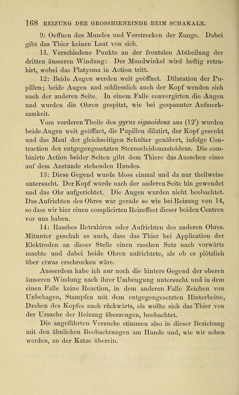 9: OefFnen des Muncles uud Vorstrecken der Zuiige, Dabei gibt das Thier keinen Laut von sich. 11. Verschiedene Punkte an der frontalen Abtheilung der dritten ausseren Windung: Der Mundwinkel wird heftig retra- hirt, wobei das Platysma in Action tritt. 12: Beide Augen werden weit geoffnet. Dilatation der Pu- pillen; beide Augen und schliesslich auch der Kopf wenden sich nacli der anderen Seite. In einem Falle convergirten die Augen und wurden die Ohren gespitzt, tv^ie bei gespannter Aufmerk- samkeit. Vom vorderen Theile des gyrus sigmoideus aus (12') wurden beide Augen weit geoifnet, die Pupillen dilatirt, der Kopf geseukt und das Maul der gleichseitigen Scbulter genahert, infolge Con- traction des entgegengesetzten Sternocleidomastoideus. Die com- binirte Action beider Seiten gibt dem Thiere das Aussehen eines auf dem Anstande stehenden Hundes. 13: Diese Gegend wurde bloss einmal und da nur theilweise untersucht. Der Kopf wurde nacb der anderen Seite bin gewendet und das Ohr aufgericbtet. Die Augen wurden niclit beobachtet Das Aufrichten des Ohres war gerade so wie beiReizung von 14, so dass wir bier einen complicirten Reizeffect dieser beiden Centren vor uns haben. 14: Rasches Retrabiren oder Aufrichten des anderen Ohres. Mitunter geschah es auch, dass das Thier bei Application der Elektroden an dieser Stelle einen raschen Satz nach vorwilrts niachte und dabei beide Ohren aufrichtete, als ob es plotzlich uber etwas erschrocken ware. Ausserdem babe ich nur noch die hintere Gegend der oberen ausseren Windung nach ihrer Unibeugung untersucht und in dem einen Falle keine Reaction, in dem anderen Falle Zeichen von Unbehagen, Stampfen mit dem entgegengesetzten llinterbeine, Drehen des Kopfes nach riickwiirts, als wollte sich das Thier von der Ursache der Reizung uberzeugen, beobachtet. Die augefiihrten Versuche stimmeu also in dieser Beziehung mit den ilhnlichen Beobachtungen am Ilunde uud, wie wir seheu werdei], an der Katze iiberein.