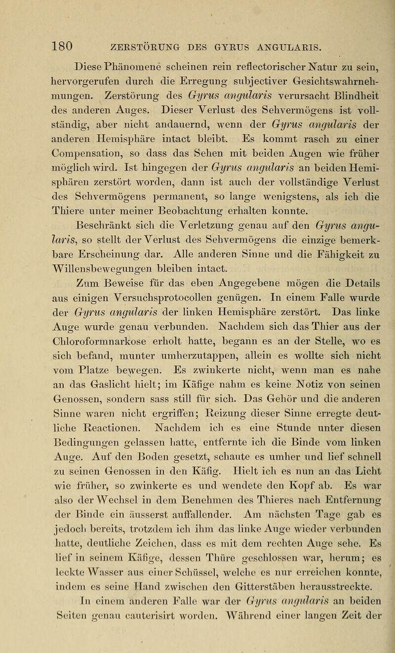 Diese Phiinomene sclieinen rein reflectorischer Natur zu sein, hervorgerufen durch die Erreguug subjectiver Gesichtswahrneh- mungen. Zerstorung des Gyrus angularis verursacht Blindheit des anderen Auges. Dieser Verlust des Selivermogens ist voll- stiindig, aber niclit andaiiernd, wenn der Gyrus angularis der anderen Hemisphare intact bleibt. Es kommt rasch zu einer Compensation, so dass das Sehen mit beiden Augen wie friiher moglich wird. Ist hingegen der Gyrus angularis an beiden Hemi- sphiiren zerstdrt worden, dann ist auch der vollstandige Verlust des Sehvermogens permanent, so lange wenigstens, als icb die Thiei-e unter meiner Beobachtung erhalten konnte. Beschrankt sich die Verletzung genau auf den Gyrus angu- laris, so stellt der Verlust des Sehvermogens die einzige bemerk- bare Erscbeinung dar. Alle anderen Siune und die Fahigkeit zu Willensbewegungen bleiben intact. Zum Beweise fur das eben Angegebene mogen die Details aus einigen Versuchsprotocollen geniigen. In einem Falle wurde der Gyrus angularis der linken Hemisphare zerstort. Das linke Auge wurde genau verbunden. Nachdem sich das Thier aus der Chloroformnarkose erholt hatte, begann es an der Stelle, wo es sich befand, munter umherzutappen, allein es wollte sich nicht vom Platze bewegen. Es zwinkerte nicht, wenn man es nahe an das Gaslicht hielt; ira Kiifige nahm es keine Notiz von seinen Genossen, sondern sass still fiir sich. Das Gehor und die anderen Sinne waren nicht ergriffen; Reizung dieser Sinne erregte deut- liche Reactionen. Nachdera icl^ es eine Stunde unter diesen Bedingungen gelassen hatte, entfernte ich die Binde vom linken Auge. Auf den Boden gesetzt, schaute es umher und lief schnell zu seinen Genossen in den Kaiig. Hielt ich es nun an das Licht wie friiher, so zwinkerte es und wendete den Kopf ab. Es war also der Wechsel in dem Benehmen des Thieres nach Entfernung der Binde ein iiusserst auffallcnder. Am niichsten Tage gab es jcdocli bereits, trotzdeni ich ihm das linke Auge wicder verbunden hatte, deutliche Zeiclien, dass es rait dera rechten Auge sehe. Es lief in seinem Kafige, dessen Thiire geschlossen war, herum; es leckte Wasser aus einer Schiissel, welche es nur erreichen konnte, indem es seine Hand zwisclien den Gitterstabcn herausstreckte. In einem anderen Falle war der Gyrus angularis an beiden Seiten genau cauterisirt worden. Wiihrcnd einer langen Zeit der