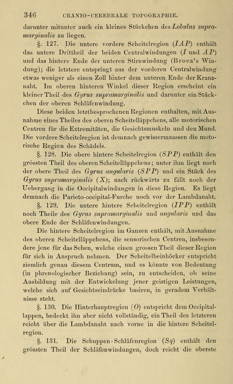 darunter mitunter auch ein kleines Stiickchen des Lohulus supra- marginalis zu liegen. §. 127. Die iintere vordere Scheitelregion {lAP) enthult das untere Drittheil der beiden Centralwindungen (J und AP) und das hintere Ende der unteren Stirnvvindung (Broca's Wiu- dung); die letztere entspringt aus der vorderen Centralwiiidung etwas weniger als einen Zoll hinter dem unteren Ende derKranz- nalit. Ini oberen liinteren Winkel dieser Region erseheiut ein kleinerTheil des Gyrus supramarginalis und darunter ein Stiick- chen der oberen Schlafenwindung. I)iese beiden letztbesproclienen Regionen enthalten, mitAus- nahme eines Theiles des oberen Scheitellappchens, alle motorischen Centren fiir die Extremitaten, die Gesichtsmuskeln und denMund. Die vordere Scheitelregion ist demnach gewisserniaassen die moto- rische Region des Schadels. §. 128. Die obere hintere Scheitelregion (SPP) enthalt den grossten Theil des oberen Scheitellappchens; unter ihm liegt noch der obere Theil des Gyrus angular is {SPP) und ein Stiick des Gyrus supramarginalis (X); nach riickwarts zu filllt noch der Uebergang in die Occipitalwindungen in diese Region. Es liegt demnach die Pai'ieto-occipital-Furche noch vor der Laiubdanaht. §. 129. Die untere hintere Scheitelregion (IPP) enthalt noch Theile des Gyrus supramarginalis und angularis und das obere Ende der Schlafenwindungen. Die hintere Scheitelregion im Ganzen enthalt, mit Ausnahme des oberen Scheitellappchens, die sensorischen Centren, insbesou- dere jene fur das Sehen, welche einen grossen Theil dieser Region fiir sich in Anspruch nehmen. Der Scheitelbeinhocker entspricht ziemlich genau diesem Centrum, und es konnte von Bedeutung (in phrenologischer Beziehung) sein, zu entscheiden, ob seine Ausbildung mit der Entwickelung jener geistigen Leistungen, welche sich auf Gesichtseindriicke basiren, in geradem Verhalt- nisse steht. §. 130. Die Hinterhauptregion (0) entspricht dem Occipital- lappen, bedeckt ihn aber nicht voUstiindig, ein Theil des letzteren reicht liber die Ijambdanaht nach vorne in die hintere Scheitel- region. §. 131. Die Schuppen - Schlilfenregion (Sq) enthalt den grossten Theil der Schlafenwindungen, doch reicht die oberste