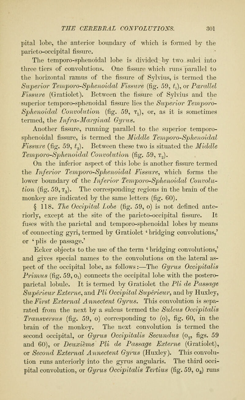pital lobe, the anterior boundary of wliich is formed by the parieto-occipital fissure. The temporo-sphenoidal lobe is divided by two sulci into three tiers of convolutions. One fissure which runs parallel to the horizontal ramus of the fissure of Sylvius, is termed the Superior Temjporo-Sjphenoidal Fissure (fig. 59, t-), or Parallel Fissure (Grratiolet). Between the fissure of Sylvius and the superior temporo-sphenoidal fissure lies the Superior Temporo- Sphenoidal Convolution (fig. 59, tJ, or, as it is sometimes termed, the Infra-Marginal Gyrus, Another fissure, running parallel to the superior temporo- sphenoidal fissure, is termed the Middle Temporo-Sphenoidal Fissure (fig. 59, t^. Between these two is situated the Middle Temporo-Sphenoidal Convolution (fig. 59, n^. On the inferior aspect of this lobe is another fissure termed the Inferior Temporo-Sphenoidal Fissure, which forms the lower boundary of the Inferior Temporo-Sphenoidal Convolu- tion (fig. 59, Tg). The corresponding regions in the brain of the monkey are indicated by the same letters (fig. 60). § 118. The Occipital Lobe (fig. 59, o) is not defined ante- riorly, except at the site of the parieto-occipital fissure. It fuses with the parietal and temporo-sphenoidal lobes by means of connecting gjri, termed by Grratiolet ' bridging convolutions,' or ' plis de passage.' Ecker objects to the use of the term ' bridging convolutions,' and gives special names to the convolutions on the lateral as- pect of the occipital lobe, as follows:—The Gyrus Occipitalis Frimus (fig. 59, Oi) connects the occipital lobe with the postero- parietal lobule. It is termed by Gratiolet the Pli de Passage Superieur Externe, and Pli Occipital Superieur, and by Huxley, the First External Annectent Gyrus, This convolution is sepa- rated fi'om the next by a sulcus termed the Sulcus Occipitalis Transversus (fig. 59, o) corresponding to (o), fig. 60, in the brain of the monkey. The next convolution is termed the second occipital, or Gyrus Occipitalis Secundus (Oo, figs. 59 and 60), or Deuxieme Pli de Passage Externe (Grratiolet), or Second External Annectent Gyrus (Huxley). This convolu- tion runs anteriorly into the gyrus angularis. The third occi- pital convolution, or Gyrus Occipitalis Tertius (fig. 59, O3) runs