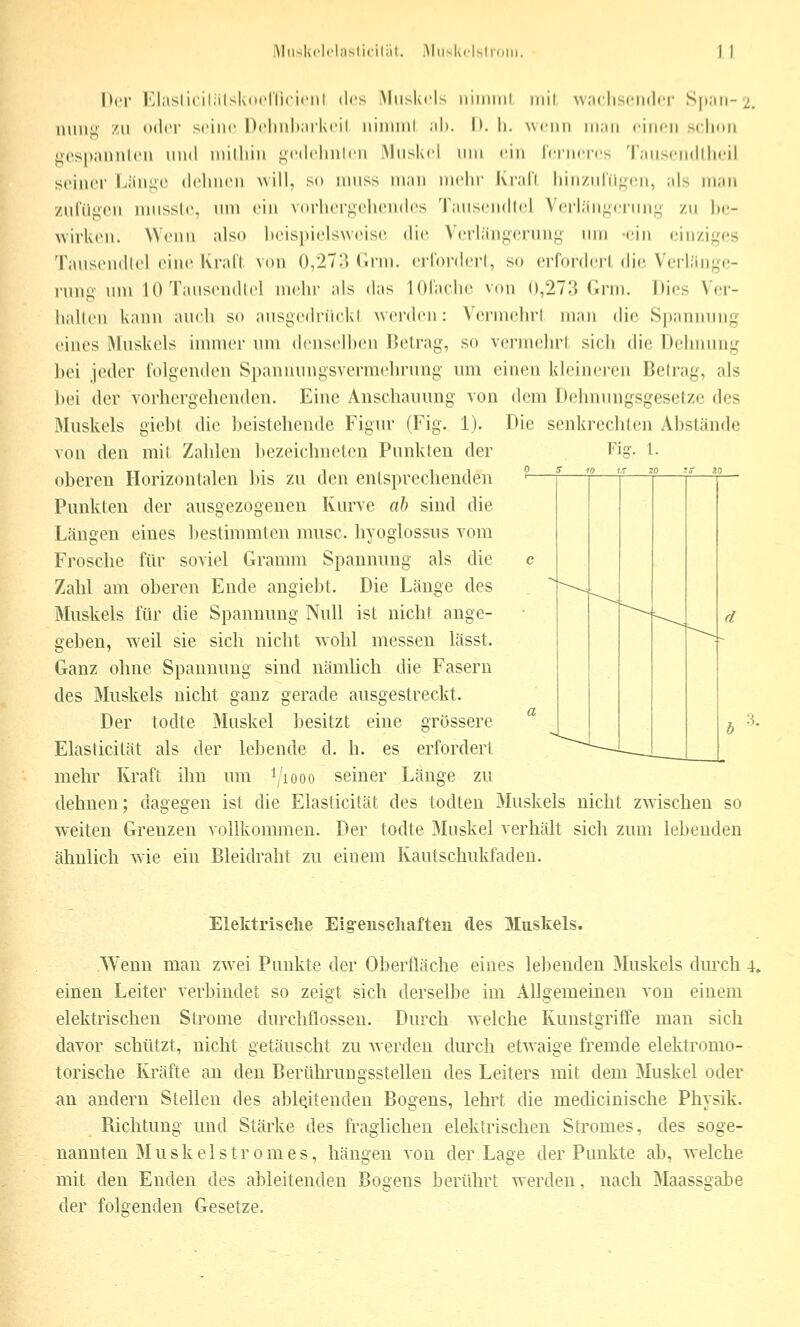 Ucr l^hsliciliilslMirnicinil drs MiisKds iiiiiiiiil iiiil wmcIisi'IkIi'i' S|);iii-^ lUiiii; /ii oder si-iiic Dclmh.iiKcil iiimiiil ;ili. 1». h. wenn iii.tii riiicii sclioii t'SD.-miihMi imd iiiilliiii i^cilcliiilcii Muskel iiiii rin rciiicr(> 'l;iiiscii(llln'il seiner Lliiiiic (leimen \\ill. so nniss ni:ui mehr Kr.ill liin/nlii^^en, ,ils m;iii ziiril^(>n nnissle, um ein vorhergehendes 'rinisendlei V(;rl;in;iciMiny zn ha- wirken. Wenn also beispielsAveise die Verl.'inycninj,^ nin -ein einziges Tansendtel eine Krall von 0,273 Gnn. erl'orderl, so crforderldie Verliingc- nmg' um 10 Tansendtel mehr als das lOlaclie von 0,273 Gmi. Dies Ver- hallen kann auch so ausgcdrückl werden: Vermehrl man (he Spannung eines Muskels immer um denselben Betrag, so vermehrl, sich die Dehnung bei jeder lolgenden Spannungsvermehrung um einen kleinei'en Beirag, als bei der vorhergehenden. Eine Anschauung von dem Dehnungsgesetze des Muskels giebt die beistehende Figur (Fig. 1). Die senkrechten Abstände von den mil Zahlen bezeichneten Punkleu der Fig. l. oberen Horizontalen bis zu den entsprechenden ° Punkten der ausgezogenen Kurve ab sind die Längen eines bestimmten musc. hyoglossus A'om Frosche für soviel Gramm Spannung als die < Zahl am oberen Ende angiebt. Die Länge des Muskels für die Spannung Null ist nicht ange- geben, weil sie sich nicht wohl messen lässt. Ganz ohne Spannung sind nämlich die Fasern des Muskels nicht ganz gerade ausgestreckt. Der todte Muskel besitzt eine grössere Elasticilät als der lebende d, h. es erfordert mehr Kraft ihn um i/iooo seiner Länge zu dehnen; dagegen ist die Elasticität des todten Muskels nicht zwischen so w^eiten Grenzen vollkommen. Der todte Muskel verhält sich zum lebenden ähnlich wie ein Bleidraht zu einem Kautschukfaden. Elektrische Eig-enscliafteu des Mustels. Wenn man zwei Punkte der Obertläche eines lebenden Muskels durch 4. einen Leiter verliindet so zeigt sich derselbe im Allgemeinen von einem elektrischen Strome durchflössen. Durch welche Kunstgriffe man sich davor schützt, nicht getäuscht zu werden durch etwaige fremde elektromo- torische Kräfte au den Berührungsstellen des Leiters mit dem Muskel oder au andern Stellen des ableitenden Bogens, lehit die medicinische Physik. Pachtung und Stärke des fraglichen elektrischen Stromes, des soge- nannten Muskel ström es, hängen von der Lage der Puukte ab, welche mit den Enden des ableitenden Bogens berührt werden. nach Maassgabe der folgenden Gesetze.