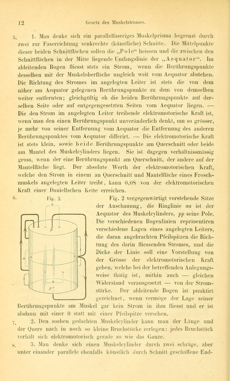 5. 1. Mau denke sich ein parallelfaseriges Muskelprisma begrenzt durch zwei zur Faserrichtung senkrechte (künstliche) Schnitte. Die 3Iittelpuukte dieser beiden Schnittflächen sollen die „Pole heissen und die zwischen den Schnittflächen in der Mitte liegende Umfangshnie der „Aequator. Im ableitenden Bogen fliesst stets ein Strom, Avenn die Berührungspunkte desselben mit der Muskeloberfläche ungleich weit vom Aequator abstehen. Die Richtung des Stromes im angelegten Leiter ist stets die von dem näher am Aequator gelegenen Berührungspunkte zu dem von demselben weiter entfernten; gleichgültig ob die beiden Berührungspunkte auf der- selben Seite oder auf entgegengesetzten Seiten vom Aequator liegen. — Die den Strom im angelegten Leiter treibende elektromotorische Kraft ist, wenn'man den einen Berührungspunkt unveränderlich denkt, um so grösser, je mehr von seiner Entfernung vom Aequator die Entfernung des anderen Berührungspunktes vom Aequator differirt. — Die elektromotorische Kraft ist stets klein, sowie beide Berührungspunkte am Querschnitt oder beide am Mantel des Muskelcylinders liegen. Sie ist dagegen verhältnissmässig gross, wenn der eine Berührungspunkt am Querschnitt, der andere auf der Mantelfläche liegt. Der absolute Werth der elektromotorischen Kraft, welche den Strom in einem an Querschnitt und Mantelfläche eines Frosch- muskels angelegten Leiter treibt, kann 0,08 von der elektromotorischen Kraft einer Daniellschen Kette erreichen. 6. Fig. 2. Fig. 2 vergegenwärtigt vorstehende Sätze , ■■ ; der Anschauung, die Ringlinie aa ist der Aequator des Muskelcylinders, pp seine Pole. Die verschiedenen Bogenlinien repräsentiren verschiedene Lagen eines angelegten Leiters, die daran angebrachten Pfeilspilzen die Rich- tung des darin fliessenden Stromes, und die Dicke der Linie soll eine Vorstellung von der Grosse der elektromotorischen Kraft geben, welche bei der betreffenden Anlegungs- weise thätig ist, mithin auch — gleichen Widerstand vorausgesetzt — von der Strom- stärke. Der ableitende Bogen ist puuktirt gezeichnet, wenn vermöge der Lage seiner Berührungspunkte am Muskel gar kein Strom in ihm fliesst und er ist alsdann mit einer 0 statt mit einer Pfeilspitze versehen. 2. Den soeben gedachten 3Iuskelcylinder kann man der Länge und der Quere nach in noch so kleine Bruchstücke zerlegen: jedes Bruchstück verhält sich elektromotorisch gerade so wie das Ganze. 3. Man denke sich einen Muskelcylinder durch zwei sclu'äge, aber unter einander parallele ebenfalls künstlich durch Schnitt geschaffene End-
