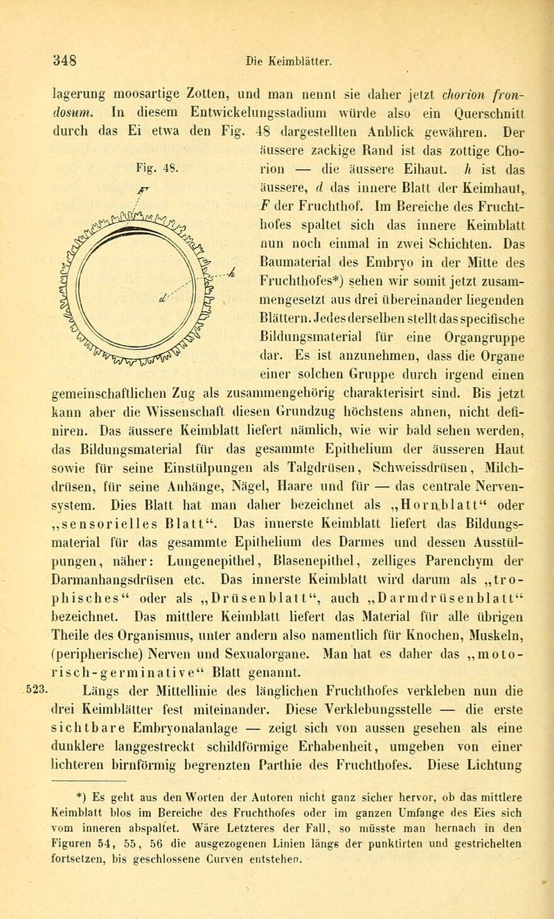 Fig. 48. r' lagerung moosartige Zotten, und man nennt sie daher jetzt chorion fron- dosum. In diesem Entwickelungsstadium würde also ein Querschnitt durch das Ei etwa den Fig. 48 dargestellten Anblick gewähren. Der äussere zackige Rand ist das zottige Cho- rion — die äussere Eihaut, h ist das äussere, d das innere Blatt der Keimhaut, F der Fruchthof. Im Bereiche des Frucht- hofes spaltet sich das innere Keimblatt nun noch einmal in zwei Schichten. Das Baumaterial des Embryo in der Mitte des Fruchthofes*) sehen wir somit jetzt zusam- mengesetzt aus drei übereinander liegenden Blättern. Jedes derselben stellt das specifische ßildungsmaterial für eine Organgruppe dar. Es ist anzunehmen, dass die Organe einer solchen Gruppe durch irgend einen gemeinschaftlichen Zug als zusammengehörig charakterisirt sind. Bis jetzt kann aber die Wissenschaft diesen Grundzug höchstens ahnen, nicht deü- niren. Das äussere Keimblatt liefert nämlich, wie wir bald sehen werden, das Bildungsmaterial für das gesammte Epithelium der äusseren Haut sowie für seine Einstülpungen als Talgdrüsen, Schweissdrüsen, Milch- drüsen, für seine Anhänge, Nägel, Haare und für — das centrale Nerven- system. Dies Blatt hat man daher bezeichnet als „Hornblatt oder ,,sensorielles Blatt. Das innerste Reimblatt Hefert das Bildungs- material für das gesammte Epilhelium des Darmes und dessen Ausstül- pungen, näher: Lungenepithel, Blasenepithel, zelliges Parenchym der Darmanhangsdrüsen etc. Das innerste Keimblatt wird darum als „tro- phisches oder als „Drüsenblatt, auch „Darmdrüsenblatt bezeichnet. Das mittlere Keimblatt liefert das Material für alle übrigen Theile des Organismus, unter andern also namenthch für Knochen, Muskeln, (peripherische) Nerven und Sexualorgane. Man hat es daher das ,,moto- risch-germinative Blatt genannt. 523. Längs der Mittellinie des länglichen Fruchthofes verkleben nun die drei Keimblätter fest miteinander. Diese Verklebungsstelle — die erste sichtbare Embryonalanlage — zeigt sich von aussen gesehen als eine dunklere langgestreckt schildförmige Erhabenheit, umgeben von einer lichteren birnförmig besrenzten Parthie des Fruchthofes. Diese Lichtung *) Es geht aus den Worten der Autoren nicht ganz sicher hervor, ob das mittlere Keimblatt blos im Bereiche des Fruchthofes oder im ganzen Umfange des Eies sich vom inneren abspaltet. Wäre Letzteres der Fall, so müsste man hernach in den Figuren 54, 55, 56 die ausgezogenen Linien längs der punktirten und gestrichelten fortsetzen, bis geschlossene Curven entstehen.
