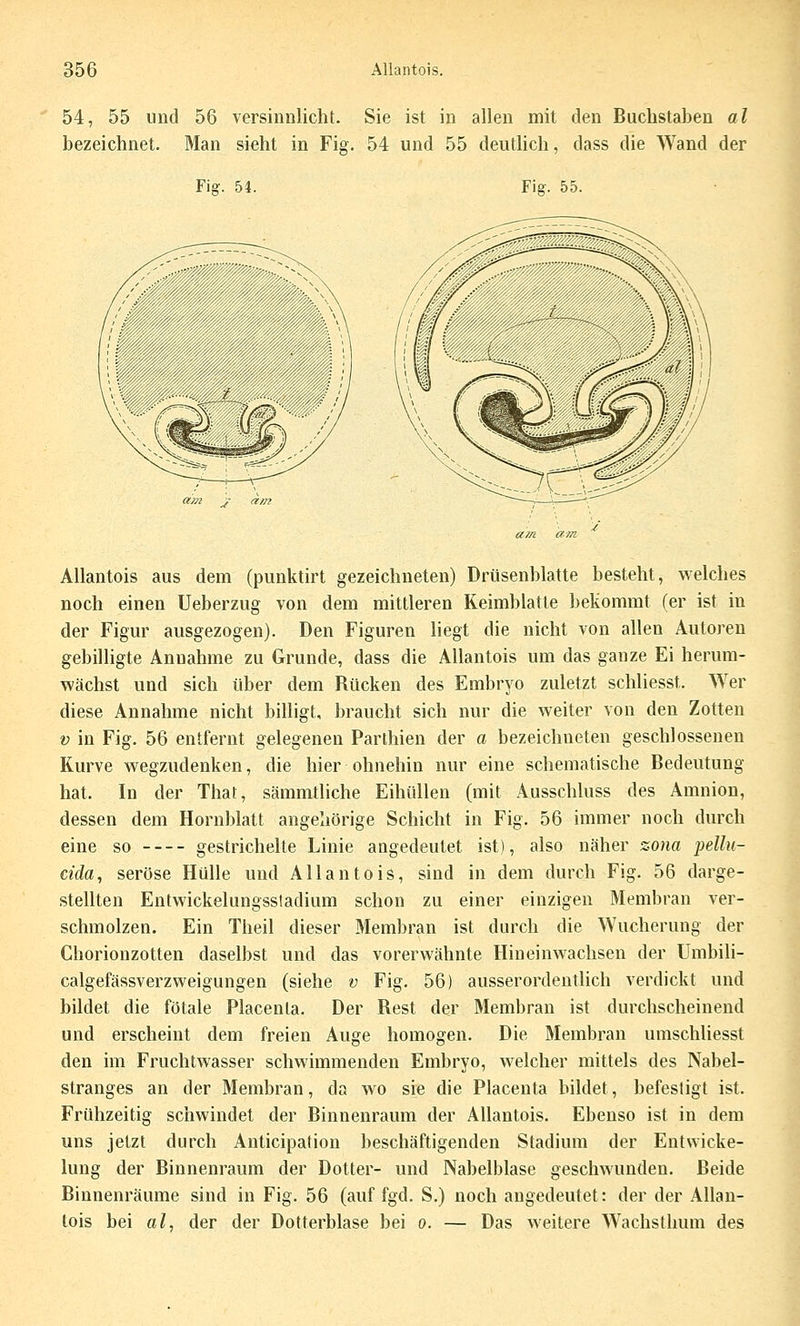 54, 55 und 56 versinnlicht. Sie ist in allen mit den Buchstaben al bezeichnet. Man sieht in Fig. 54 und 55 deutlich, dass die Wand der Fisr. 54. Fig. 55. Allantois aus dem (punktirt gezeichneten) Drüsenblatte besteht, welches noch einen Ueberzug von dem mittleren Keimblatte bekommt (er ist in der Figur ausgezogen). Den Figuren liegt die nicht von allen Autoren gebiUigte Annahme zu Grunde, dass die Allantois um das ganze Ei herum- wächst und sich über dem Rücken des Embryo zuletzt schliesst. Wer diese Annahme nicht billigt, braucht sich nur die weiter von den Zotten V in Fig. 56 entfernt gelegenen Parthien der a bezeichneten geschlossenen Kurve wegzudenken, die hier ohnehin nur eine schematische Bedeutung hat. In der That, sämmthche Eihüllen (mit Ausschluss des Amnion, dessen dem Hornblatt angehörige Schicht in Fig. 56 immer noch durch eine so gestrichelte Linie angedeutet ist), also näher zona fellu- cida, seröse Hülle und Allantois, sind in dem durch Fig. 56 darge- stellten Entwickelungssladium schon zu einer einzigen Membran ver- schmolzen. Ein Theil dieser Membran ist durch die Wucherung der Chorionzotten daselbst und das vorerwähnte Hineinwachsen der UmbiH- calgefässverzweigungen (siehe v Fig. 56) ausserordentlich verdickt und bildet die fötale Placenla. Der Rest der Membran ist durchscheinend und erscheint dem freien Auge homogen. Die Membran umschliesst den im Fruchtwasser schwimmenden Embryo, welcher mittels des Nabel- stranges an der Membran, da wo sie die Placenta bildet, befesligt ist. Frühzeitig schwindet der Binnenraum der Allantois. Ebenso ist in dem uns jetzt durch Anticipation beschäftigenden Stadium der Entwicke- lung der Binnenraum der Dotter- und Nabelblase geschwunden. Beide Binnenräume sind in Fig. 56 (auf fgd. S.) noch angedeutet: der der Allan- tois bei al, der der Dotterblase bei o. — Das weitere Wachsthum des