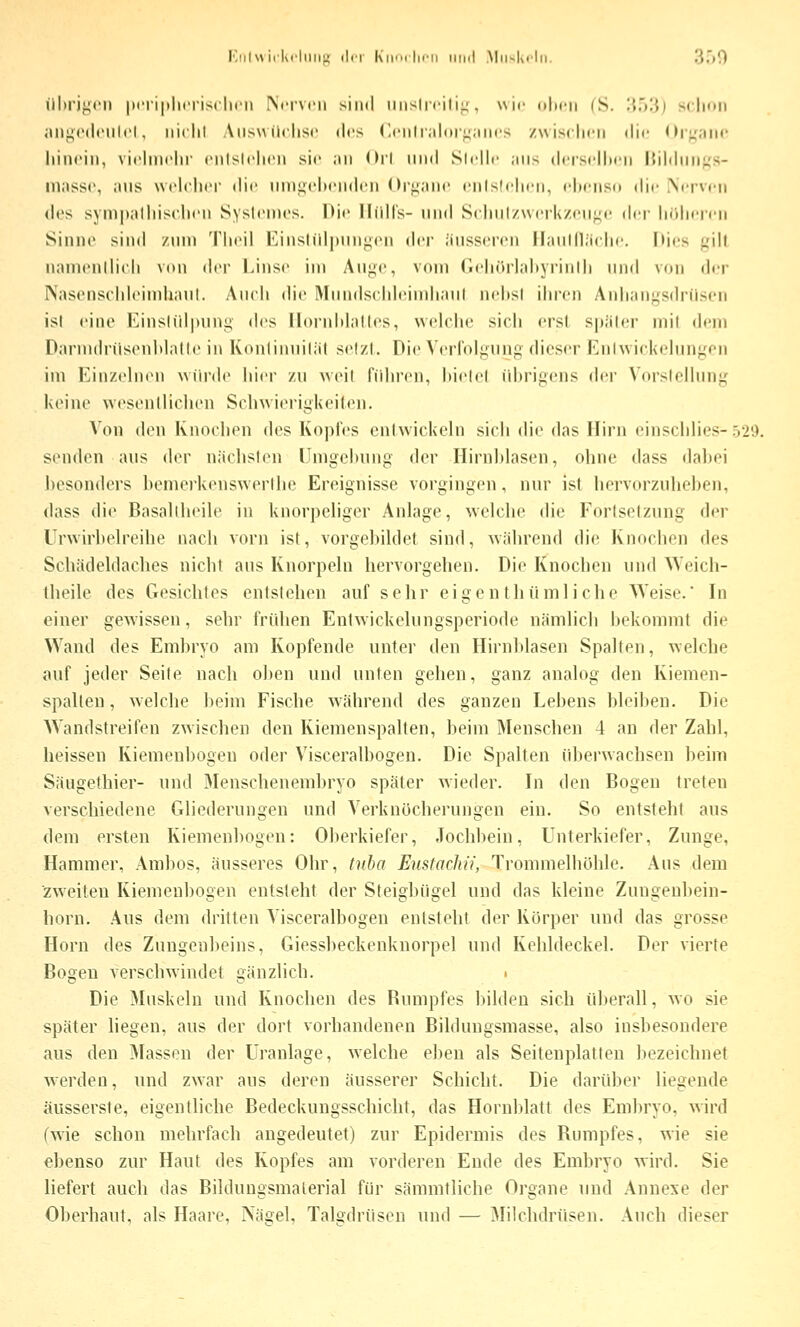 ilhrif^cn |>('ii|ilii'ris(lirM ,\ri-vni sind iinslicilii;. wir olirn (S. !{.')!{) sclinn angcdt'Ulcl, iiiclil Aliswilclisc des (Iciilraloif^iiiics /.wisclini die Hi^nnc liinrin, viclniclir cnlslclicii sie an (Ml und Slcllr ans dcisrllicn l'.ilihini^s- massc, aus wcIcIht die nnii^clKMidcn (M-^anr rnish'licn, clicnsii die .Nerven (l«?s sympalliisclicn Sysli'nics. Die IIilH's- und S<lnil/\v('rk/<'n;;r der iKdunn Sinne sind /.nni Tlioil Einslillijunj^on der äusseren Ilanlllärhc. Iiics i^ili nanienllicli v(ui der Linse im Auj,n', vom Geliörlaliyrinlh und \(in dir Nasenschleimhaul. Auch die Mundseldeimliaul nebsl ihren Anlianj^sdrilsen isl eine Einsliilpung des llonddalles, welche sich erst sj)äler mit dem Daruuh'üseuhlatle in Konlinuiliit setzl. Die Verfolgung dieser Enhviekelungen im Einzelnen würde hier zu weil führen, hicid übrigens der Vorslelhmi,' keine wesentlichen Schwierigkeiten. Von den Knochen des Kopfes entwickeln sich die das Hirn einschlies-529. senden aus der nächsten Umgehung der Hirnhlasen, ohne dass dabei besonders bemerkeuswerihe Ereignisse vorgingen, nur ist hervorzuhel)en, dass die Basallheile in knor])eliger Anlage, welche die Fortsetzung der ürwirbelreihe nach vorn ist, vorgebildet sind, wiihrend die Knochen des Schädeldaches nicht aus Knorpeln hervorgehen. Die Knochen und Weich- theile des Gesichtes entstehen auf sehr eigenthümliche Weise. In einer gewissen, sehr friUien Entwickelungsperiode nämlich bekommt die Wand des Embryo am Kopfende unter den Hirnblasen Spalten, v\elche auf jeder Seite nach oben und unten gehen, ganz analog den Kiemen- spallen, welche beim Fische während des ganzen Lebens bleiben. Die Wandstreifen zwischen den Kiemenspalten, beim Menschen 4 an der Zahl, heissen Kiemenbogeu oder Visceralbogen. Die Spalten überwachsen beim Säugethier- und Menschenembryo später wieder. In den Bogen treten verschiedene Gliederungen und Verknöcherungen ein. So entsteht aus dem ersten Kiemenbogeu: Oberkiefer, Jochbein, Unterkiefer, Zunge, Hammer, Ambos, äusseres Ohr, tnba Eustacliii, Trommelhöhle. Aus dem zweiten Kiemeubogen entsteht der Steigbügel und das kleine Zungenbein- horn. Aus dem dritten Visceralbogen entsteht der Körper und das grosse Hörn des Zungenbeins, Giessbeckenknorpel und Kehldeckel. Der vierte Bogen verschwindet gänzlich. . Die Muskeln und Knochen des Rumpfes bilden sich überall, wo sie später liegen, aus der dort vorhandenen Bilduugsmasse, also insbesondere aus den Massen der Uranlage, welche eben als Seitenplatten bezeichnet w^erden, und zwar aus deren äusserer Schicht. Die darüber liegende äusserste, eigentliche Bedeckungsschicht, das Hornblatt des Embryo, wird (wie schon mehrfach augedeutet) zur Epidermis des Bumpfes, wie sie ebenso zur Haut des Kopfes am vorderen Ende des Embryo wird. Sie liefert auch das Bildungsmalerial für sämmtliche Organe und Annexe der Oberhaut, als Haare, Näsrel, Talgdrüsen und — Milchdrüsen. Auch dieser