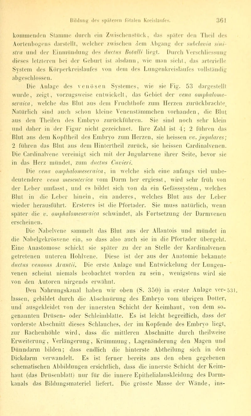 koniint'iKicii SliimiiH' diircli i-iii Zw iscIn-iisliicK. (his s|i;il('r diu 'l'licil des A(irl(Mil)(>f;('ns diirslclll, wi'lcliri' /.wischen -•Iciii .\l»^;iii;; der suhrliivia aini- slid lind (In- l''.iiiiiuhidiMi^ des diir/HS Kuldlli lit'j^l. Ihnrli \ (•rsclilii'ssiiii^' dicsos Icl/.lcroii hei der (ichiirl isl .ilsd;iiin, wie m.iii sirhi, d.is .nlcrii'Hc SyshMii des KürperUroislauIos von dfin des Liiiiyciikrcislanrcs vnllslündi;,' abgoschlosscn. Die Anlage dos veiiüsen Syslomcs, wie sie Fig. 53 d.irge.slelll wurde, zeigt, vorzugsweise entwickelt, das Gebiet der vena omphalome- seraica, welche das Blut aus dem Fnichlliore zum Herzen ziinlckliraelile. Natürlich sind auch schon kleine Venenstänniichcn vorhanden, die Blut aus den Theileu des Embryo zurückführen. Sie sind noch sehr klein und daher in der Figur nicht gezeichnet. Ihre Zahl ist 4; 2 führen das Blut aus dem Koj)ftheil des Embryo zum Herzen, sie heissen vv. jugulares; 2 führen das Blut aus dem Hintertheil zurück, sie heissen Cardinalvenen. Die Cardinalvene vereinigt sich mit der Jugularvene ihrer Seite, bevor sie in das Herz mündet, zum äxctus Cuvieri. Die vena omphalomeseraica ^ in welche sich eine anfangs viel unbe- deutendere vena mesenterka vom Darm her ergiesst, wird sehr früh von der Leber umfasst, und es bildet sich von da ein Gefässsystem, welches Blut in die Leber hinein, ein anderes, welches Blut aus der Leber wieder herausführt. Ersteres ist die Pfortader. Sie muss natürlich, wenn später die v. omphalomeseraica schwindet, als Fortsetzung der Darmveneu erscheinen. Die Nabelvene sammelt das Blut aus der Allantois und mündet in die Nabelgekrösvene ein, so dass also auch sie in die Pfortader übergeht. Eine Anastomose schickt sie später zu der an Stelle der Kardinalvenen getretenen unteren Hohlvene. Diese ist der aus der Anatomie bekannte ductus venosus Ärantii. Die erste Anlage und Entwickelung der Lungen- venen scheint niemals beobachtet worden zu sein, w enigstens wird sie von den Autoren nirgends erwähnt. Den Nahrungskanal haben wir oben (S. 350) in erster Anlage ver-531. lassen, gebildet durch die Abschnürung des Embryo vom übrigen Dotter, und ausgekleidet von der innersten Schicht der Keimhaut, von dem so- genannten Drüsen- oder Schleimblatte. Es ist leicht begreiflich, dass der vorderste Abschnitt dieses Schlauches, der im Kopfende des Embryo liegt, zur Racbenhöhle wird, dass die mittleren Abschnitte durch theilweise Erweiterung, Verlängerung, Krümmung, Lagenänderung den Magen und Dünndarm bilden; dass endlich die hinterste Abtheilung sich in den Dickdarm verwandelt. Es ist ferner bereits aus den oben gegebenen schematischen Abbildungen ersichtlich, dass die innerste Schicht der Keim- haut (das Drüsenblattj nur für die innere Epithelialauskleidung des Darm- kanals das Bildungsmateriel liefert. Die grösste Masse der Wände, ins-