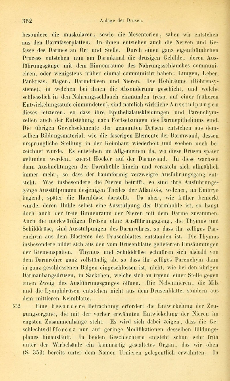 besondere die muskulären, sowie die Mesenterien, sahen wir entstehen aus den Darmfaserplatten. In ihnen entstehen auch die Nerven und Gc- fässe des Darmes an Ort und Stelle. Durch einen ganz eigenthümlichen Process entstehen nun am Dannkanal die drüsigen Gebilde, deren Aus- fiihrungsgänge mit dem Binnenraume des Nahrungsschlauches communi- ciren, oder wenigstens früher einmal communicirt haben: Lungen, Leber, Pankreas, Magen, Darmdrüsen und Nieren. Die Hohlräume (Röhrensy- steme), in welchen bei ihnen die Absonderung geschieht, und welche schliesslich in den Nahrungsschlauch einmünden (resp. auf einer früheren Entwickelungsstufe einmündeten), sind nämlich wirkliche Ausstülpungen dieses letzteren, so dass ihre Epithelialauskleidungen und Parenchym- zellen auch der Entstehung nach Fortsetzungen des Darmepitheliums sind. Die übrigen Gewebselemente der genannten Drüsen entstehen aus dem- selben Bildungsmaterial, wie die faserigen Elemente der Darmwand, dessen ursprüngliche Stellung in der Keimhaut wiederholt und soeben noch be- zeichnet wurde. Es entstehen im Allgemeinen da, wo diese Drüsen später gefunden werden, zuerst Höcker auf der Darmwand. In diese wachsen dann Ausbuchtungen der Darmhöhle hinein und verästeln sich allmählich immer mehr, so dass der baumförmig verzweigte Ausführungsgang ent- steht. Was insbesondere die Nieren betrifft, so sind ihre Auslührungs- gänge Ausstülpungen desjenigen Theiles der Allantois, welcher, im Embryo liegend, später die Harnblase darstellt. Da aber, wie früher bemerkt wurde, deren Höhle selbst eine Ausstülpung der Darmhöhle ist, so hängt doch auch der freie Binnenraum der Nieren mit dem Darme zusammen. Auch die merkwürdigen Drüsen ohne Ausführungsgang, die Thymus und Schilddrüse, sind Ausstülpungen des Darmrohres, so dass ihr zelliges Par- enchym aus dem Blasteme des Drüsenblattes entstanden ist. Die Thymus insbesondere bildet sich aus den vom Drüsenblatte gelieferten Umsäumungen der Kiemenspalten. Thymus und Schilddrüse schnüren sich alsbald von dem Darmrohre ganz vollständig ab, so dass ihr zelliges Parenchym dann in ganz geschlossenen Bälgen eingeschlossen ist, nicht, wie bei den übrigen Darmanhaugsdrüsen, in Säckchen, welche sich an irgend einer Stelle gegen einen Zweig des Ausführungsganges öffnen. Die Nebennieren, die Milz und die Lymphdrüsen entstehen nicht aus dem Drüsenblatte, sondern aus dem mittleren Keimblatte. 532. Eine besondere Betrachtung erfordert die Entwickelung der Zeu- gungsorgane, die mit der vorher erwähnten Entwickelung der Nieren im engsten Zusammenhange steht. Es wird sich dabei zeigen, dass die Ge- schlechtsdifferenz nur auf geringe Modifdiationen desselben Bildungs- planes hinausläuft. In beiden Geschlechtern entsteht schon sehr früh unter der Wirbelsäule ein kammartig gestaltetes Organ, das wir oben (S. 353) bereits unter dem Namen Urnieren gelegentlich erwähnten. In