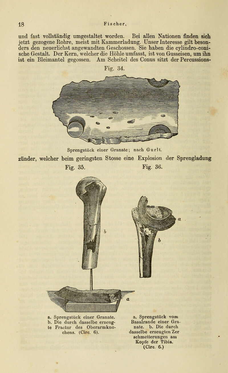 und fast vollständig umgestaltet worden. Bei allen Nationen finden sich jetzt gezogene Rohre, meist mit Kammerladung. Unser Interesse gilt beson- ders den neuerlichst angewandten Geschossen. Sie haben die cylindro-coni- sche Gestalt. Der Kern, welcher die Höhle umfasst, ist von Gusseisen, um ihn ist ein Bleimantel gegossen. Am Scheitel des Conus sitzt der Percussions- Sprengstück einer Granate; nach Gurlt. Zünder, welcher beim geringsten Stosse eine Explosion der Sprengladung Fig. 35. Fig. 36. a. Sprengstück einer Granate. b. Die durch dasselbe erzeug- te Fractur des Oberarmkno- chens. (Giro. 6). a. Sprengstück vom Basalrande einer Gra- nate, b. Die durch dasselbe erzeugten Zer schmetterungen am Kopfe der Tibia. (Circ. 6.)