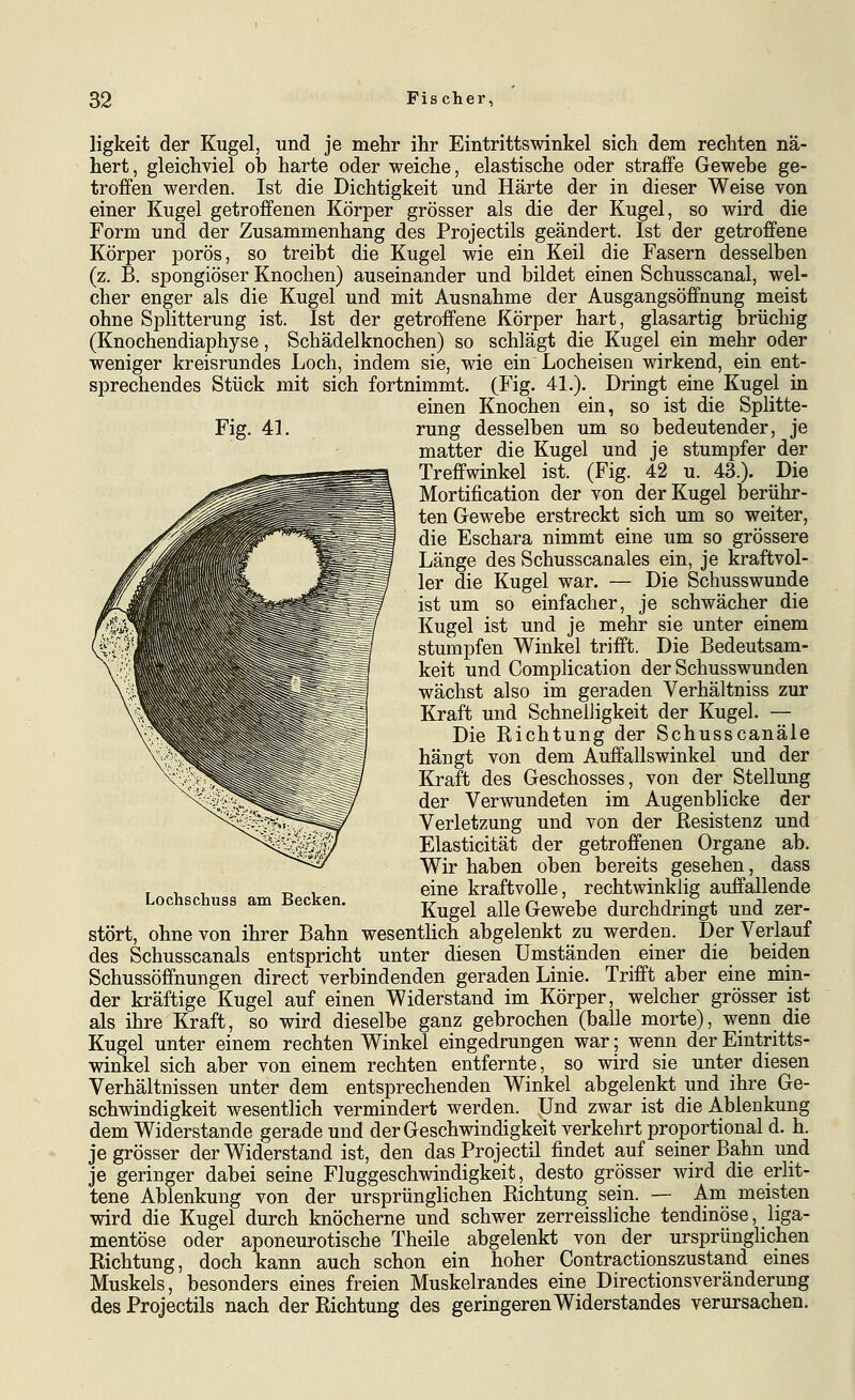 Fig. 41. ligkeit der Kugel, und je mehr ihr Eintrittswinkel sich dem rechten nä- hert, gleichviel ob harte oder weiche, elastische oder straffe Gewebe ge- troffen werden. Ist die Dichtigkeit und Härte der in dieser Weise von einer Kugel getroffenen Körper grösser als die der Kugel, so wird die Form und der Zusammenhang des Projectils geändert. Ist der getroffene Körper porös, so treibt die Kugel wie ein Keil die Fasern desselben (z. B. spongiöser Knochen) auseinander und bildet einen Schusscanal, wel- cher enger als die Kugel und mit Ausnahme der Ausgangsöffnung meist ohne Splitterung ist. Ist der getroffene Körper hart, glasartig brüchig (Knochendiaphyse, Schädelknochen) so schlägt die Kugel ein mehr oder weniger kreisrundes Loch, indem sie, wie ein Locheisen wirkend, ein ent- sprechendes Stück mit sich fortnimmt. (Fig. 41.). Dringt eine Kugel in einen Knochen ein, so ist die Splitte- rung desselben um so bedeutender, je matter die Kugel und je stumpfer der Treffwinkel ist. (Fig. 42 u. 43.). Die Mortification der von der Kugel berühr- ten Gewebe erstreckt sich um so weiter, die Eschara nimmt eine um so grössere Länge des Schusscanales ein, je kraftvol- ler die Kugel war. — Die Schusswunde ist um so einfacher, je schwächer die Kugel ist und je mehr sie unter einem stumpfen Winkel trifft. Die Bedeutsam- keit und Complication der Schusswunden wächst also im geraden Verhältniss zur Kraft und Schnelligkeit der Kugel. — Die Richtung der Schusscanäle hängt von dem Auffallswinkel und der Kraft des Geschosses, von der Stellung der Verwundeten im Augenblicke der Verletzung und von der Resistenz und Elasticität der getroffenen Organe ab. Wir haben oben bereits gesehen, dass eine kraftvolle, rechtwinklig auffallende Kugel alle Gewebe durchdringt und zer- stört, ohne von ihrer Bahn wesentlich abgelenkt zu werden. Der Verlauf des Schusscanals entspricht unter diesen Umständen einer die beiden Schussöffnungen direct verbindenden geraden Linie. Trifft aber eine min- der kräftige Kugel auf einen Widerstand im Körper, welcher grösser ist als ihre Kraft, so wird dieselbe ganz gebrochen (balle morte), wenn die Kugel unter einem rechten Winkel eingedrungen war; wenn der Eintritts- winkel sich aber von einem rechten entfernte, so wird sie unter diesen Verhältnissen unter dem entsprechenden Winkel abgelenkt und ihre Ge- schwindigkeit wesentlich vermindert werden. Und zwar ist die Ablenkung dem Widerstände gerade und der Geschwindigkeit verkehrt proportional d. h. je grösser der Widerstand ist, den dasProjectil findet auf seiner Bahn und je geringer dabei seine Fluggeschwindigkeit, desto grösser wird die erlit- tene Ablenkung von der ursprünglichen Richtung sein. — Am meisten wird die Kugel durch knöcherne und schwer zerreissliche tendinöse, liga- mentöse oder aponeurotische Theile abgelenkt von der ursprünglichen Richtung, doch kann auch schon ein hoher Contractionszustand eines Muskels, besonders eines freien Muskelrandes eine Directionsveränderung des Projectils nach der Richtung des geringeren Widerstandes verursachen. Lochschuss am Becken.