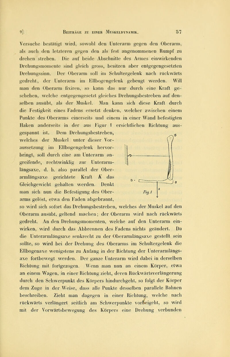 Versuche besUiligl wird, sowohl den Unterarm gegen den Oberarm, als auch den letzteren gegen den als fest angenommenen Rumpf zu drehen streben. Die auf beide Abschnitte des Armes einwirkenden Drehungsmoniente sind gleich gross, besitzen aber entgegengesetzten Drehungssinn. Der Oberarm soll im SchuUergelenk nach rückwärts gedreht, der Unterarm im Ellbogengelenk gebeugt werden. Will man den Oberarm fixiren, so kann das nur durch eine Kraft ge- schehen, welche entgegengesetzt gleiches Drehungsbestreben auf den- selben ausübt, als der Muskel. Man kann sich diese Kraft durch die Festigkeit eines Fadens ersetzt denken, welcher zwisclien einem Punkte des Oberarms einerseits und einem in einer Wand befestigten Haken anderseits in der aus Figur 1 ersichtlichen Richtung aus- gespannt ist. Dem Drehungsbestreben, welches der Muskel unter dieser Vor- aussetzung im Ellbogengelenk hervor- | bringt, soll durch eine am Unterarm an- |zu- greifende, rechtwinklig zur Unterarm- längsaxe, d. h. also parallel der Ober- armlängsaxe gerichtete Kraft K das Gleichgewicht gehalten werden. Denkt man sich nun die Befestigung des Ober- Fig.1 arms gelöst, etwa den Faden abgebrannt, so wird sich sofort das Drehungsbestreben, welches der Muskel auf den Oberarm ausübt, geltend machen; der Oberarm wird nach rückwärts gedreht. An den Drehungsmomenten, welche auf den Unterarm ein- wirken, wird durch das Abbrennen des Fadens nichts geändert. Da die Unterarmlängsaxe senkrecht zu der Oberarmlängsaxe gestellt sein sollte, so wird bei der Drehung des Oberarms im Schultergelenk die Ellbogenaxe wenigstens zu Anfang in der Richtung der Unterarmlängs- axe fortbewegt werden. Der ganze Unterarm wird dabei in derselben Richtung mit fortgezogen. Wenn man nun an einem Körper, etwa an einem Wagen, in einer Richtung zieht, deren Rückwärtsverlängerung durch den Schwerpunkt des Körpers hindurchgeht, so folgt der Körper dem Zuge in der Weise, dass alle Punkte desselben parallele Bahnen beschreiben. Zieht man dagegen in einer Richtung, welche nach rückwärts verlängert seithch am Schwerpunkte vorlleigeht, so wird mit der Vorwärtsbewegung des Körpers eine Drehung verbunden