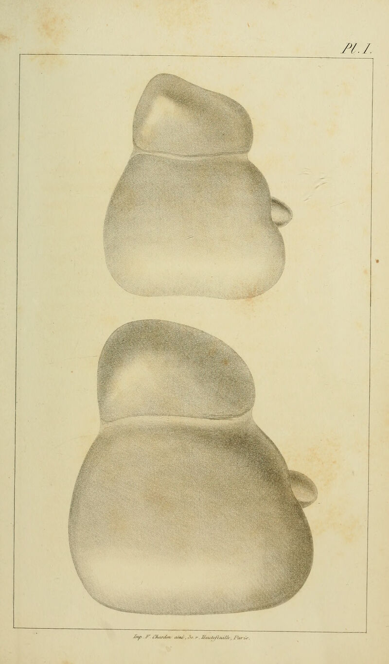 M.I. ^^É& /y. /'■ r/uir^-n ,.W,.Î,. ,-.Ua„Mfi„//,, /■,„■,:,■.