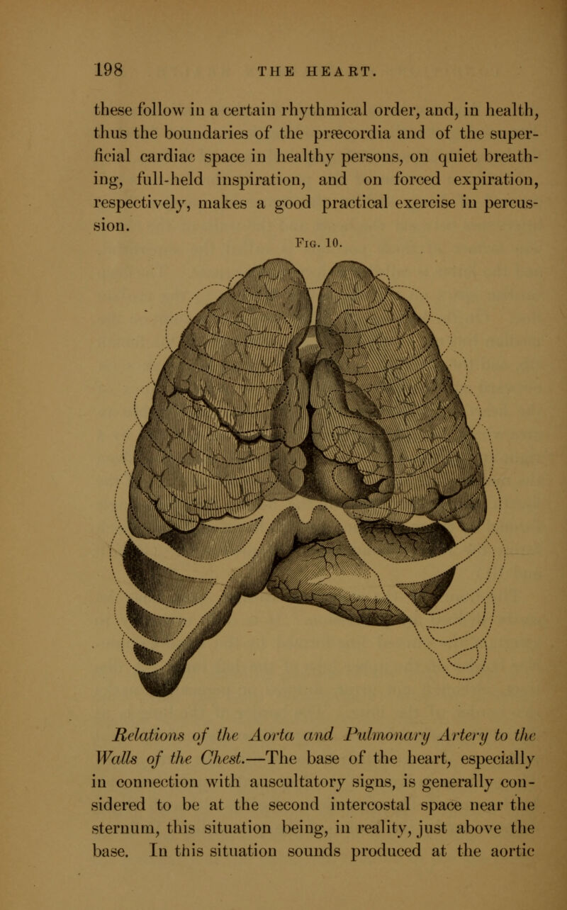 these follow in a certain rhythmical order, and, in health, thus the boundaries of the preecordia and of the super- ficial cardiac space in healthy persons, on quiet breath- ing, full-held inspiration, and on forced expiration, respectively, makes a good practical exercise in percus- sion. Fig. 10. Relations of the Aorta and Pulmonary Artery to the Walls of the Chest.—The base of the heart, especially in connection with auscultatory signs, is generally con- sidered to be at the second intercostal space near the sternum, this situation being, in reality, just above the base. In this situation sounds produced at the aortic