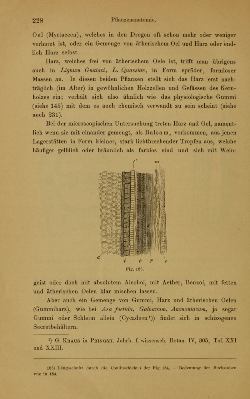 Oel (Myrtaceen), welches in den Drogen oft schon mehr oder weniger verharzt ist, oder ein Gemenge von ätherischem Oel und Harz oder end- lich Harz selbst. Harz, welches frei von ätherischem Oele ist, trifft man übrigens auch in Ligjium Guaiaci, L. Quassiae, in Form spröder, formloser Massen an. In diesen beiden Pflanzen stellt sich das Harz erst nach- träglich (im Alter) in gewöhnlichen Holzzellen und Gefässen des Kern- holzes ein; verhält sich also ähnlich wie das physiologische Gummi (siehe 145) mit dem es auch chemisch verwandt zu sein scheint (siehe auch 231). Bei der microscopischen Untersuchung treten Harz und Oel, nament- lich wenn sie mit einander gemengt, als Balsam, vorkommen, aus jenen Lagerstätten in Form kleiner, stark lichtbrechender Tropfen aus, welche häufiger gelblich oder bräunlich als farblos sind und sich mit Wein- Fig. 185. geist oder doch mit absolutem Alcohol, mit Aether, Benzol, mit fetten und ätherischen Oelen klar mischen lassen. Aber auch ein Gemenge von Gummi, Harz und ätherischen Oelen (Gummiharz), wie bei Asa foetida, Galbanum, Ammoniacum, ja sogar Gummi oder Schleim allein (Cycadeenl)) findet sich in schizogenen Secretbehältern. *) G. Kraus in Pringsh. Jahrb. f. wissensch. Botan. IV, 305, Taf. XXI und XXIII. 185) Längsschnitt durch die Coniinschicht / der Fig. 184. wie in 184. Bedeutung der Buchstaben