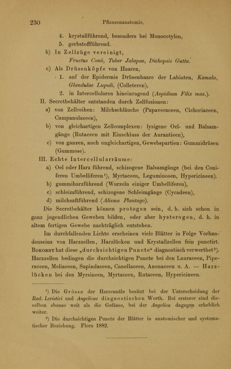 4. krystallführend, besonders bei Monocotylen, 5. gerbstoffführend. b) In Zellzüge vereinigt, Fructus Conii, Tuber Jalapae, Dichopsis Gutta. c) Als Drüsenköpfe von Haaren, 1. auf der Epidermis Drüsenhaare der Labiaten, Kamala, Glandulae Lupuli, (Colleteren), 2. in Intercellularen hineinragend (Asjndium Filix mas.). II. Secretbehälter entstanden durch Zellfusionen: a) von Zellreihen: Milchschläuche (Papaveraceen, Cichoriaceen, Campanulaceen), b) von gleichartigen Zellcomplexen: lysigene Oel- und Balsam- gänge (Rutaceen mit Einschluss der Aurantieen), c) von ganzen, auch ungleichartigen, Gewebspartien: Gummidrüsen (Gummöse). III. Echte Intercellul arräume: a) Oel oder Harz führend, schizogene Balsamgänge (bei den Coni- feren Umbelliferen1), Myrtaceen, Leguminosen, Hypericineen). b) gummiharzführend (Wurzeln einiger Umbelliferen), c) schleimführend, schizogene Schleimgänge (Cycadeen), d) milchsaftführend (Alisma Plantago). Die Secretbehälter können protogen sein, d. h. sich schon in ganz jugendlichen Geweben bilden, oder aber hysterogen, d. h. in altem fertigen Gewebe nachträglich entstehen. Im durchfallenden Lichte erscheinen viele Blätter in Folge Vorhan- denseins von Harzzellen, Harzlücken und Krystallzellen fein punctirt. Bokornyhat diese „durchsichtigen Puncte diagnostisch verwerthet2). Harzzellen bedingen die durchsichtigen Puncte bei den Lauraceen, Pipe- raceen, Meliaceen, Sapindaceen, Canellaceen, Anonaceen u. A. — Harz- lücken bei den Myrsineen, Myrtaceen, Rutaceen, Hypericineen. 1) Die Grösse der Harzcanäle besitzt bei der Unterscheidung der Rad. Levistici und Angelicae diagnostischen Werth. Bei ersterer sind die- selben ebenso weit als die Gefässe, bei der Anyelica dagegen erheblich weiter. 2) Die durchsichtigen Puncte der Blätter in anatomischer und systema- tischer Beziehung. Flora 1882.