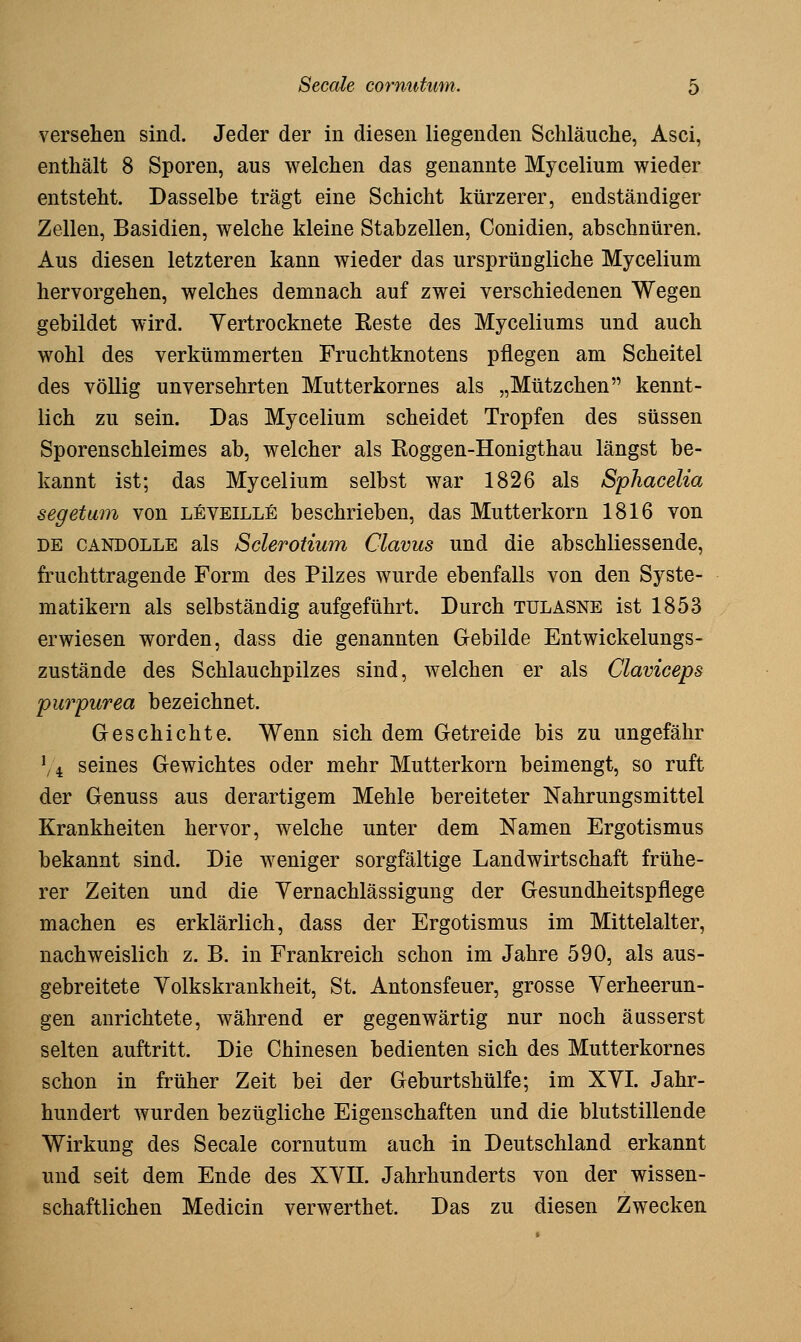 versehen sind. Jeder der in diesen liegenden Schläuche, Asci, enthält 8 Sporen, aus welchen das genannte Mycelium wieder entsteht. Dasselbe trägt eine Schicht kürzerer, endständiger Zellen, Basidien, welche kleine Stabzellen, Conidien, abschnüren. Aus diesen letzteren kann wieder das ursprüngliche Mycelium hervorgehen, welches demnach auf zwei verschiedenen Wegen gebildet wird. Vertrocknete Reste des Myceliums und auch wohl des verkümmerten Fruchtknotens pflegen am Scheitel des völlig unversehrten Mutterkornes als „Mützchen kennt- lich zu sein. Das Mycelium scheidet Tropfen des süssen Sporenschleimes ab, welcher als Roggen-Honigthau längst be- kannt ist; das Mycelium selbst war 1826 als Sphacelia segetum von LfiVEiLLfi beschrieben, das Mutterkorn 1816 von DE CANDOLLE als Sclerotium Clavus und die abschliessende, fruchttragende Form des Pilzes wurde ebenfalls von den Syste- matikern als selbständig aufgeführt. Durch tulasne ist 1853 erwiesen worden, dass die genannten Gebilde Entwickelungs- zustände des Schlauchpilzes sind, welchen er als Claviceps pur pur ea bezeichnet. Geschichte. Wenn sich dem Getreide bis zu ungefähr \\ seines Gewichtes oder mehr Mutterkorn beimengt, so ruft der Genuss aus derartigem Mehle bereiteter Nahrungsmittel Krankheiten hervor, welche unter dem Namen Ergotismus bekannt sind. Die weniger sorgfältige Landwirtschaft frühe- rer Zeiten und die Yernachlässigung der Gesundheitspflege machen es erklärlich, dass der Ergotismus im Mittelalter, nachweislich z. B. in Frankreich schon im Jahre 590, als aus- gebreitete Yolkskrankheit, St. Antonsfeuer, grosse Verheerun- gen anrichtete, während er gegenwärtig nur noch äusserst selten auftritt. Die Chinesen bedienten sich des Mutterkornes schon in früher Zeit bei der Geburtshülfe; im XVI. Jahr- hundert wurden bezügliche Eigenschaften und die blutstillende Wirkung des Seeale cornutum auch in Deutschland erkannt und seit dem Ende des XVB. Jahrhunderts von der wissen- schaftlichen Medicin verwerthet. Das zu diesen Zwecken