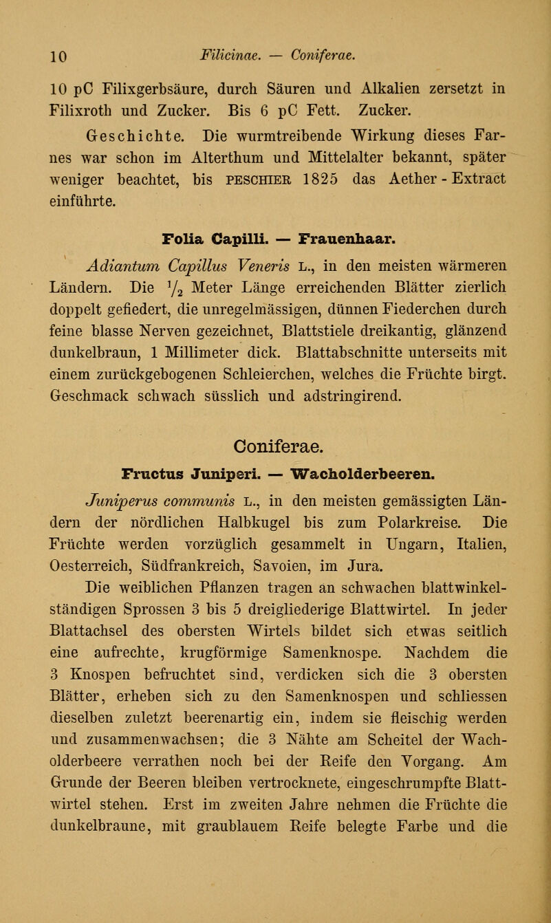 10 pC Filixgerbsäure, durch Säuren und Alkalien zersetzt in Filixroth und Zucker. Bis 6 pC Fett. Zucker. Geschichte. Die wurmtreibende Wirkung dieses Far- nes war schon im Alterthum und Mittelalter bekannt, später weniger beachtet, bis peschier 1825 das Aether - Extract einführte. Folia Capilli. — Frauenhaar. Adiantum Capillus Veneris L., in den meisten wärmeren Ländern. Die Ya Meter Länge erreichenden Blätter zierlich doppelt gefiedert, die unregelmässigen, dünnen Fiederchen durch feine blasse Nerven gezeichnet, Blattstiele dreikantig, glänzend dunkelbraun, 1 Millimeter dick. Blattabschnitte unterseits mit einem zurückgebogenen Schleierchen, welches die Früchte birgt. Geschmack schwach süsslich und adstringirend. Coniferae. Fructus Juniperi. •— Wacholderbeeren. Juniperus communis L., in den meisten gemässigten Län- dern der nördlichen Halbkugel bis zum Polarkreise. Die Früchte werden vorzüglich gesammelt in Ungarn, Italien, Oesterreich, Südfrankreich, Savoien, im Jura. Die weiblichen Pflanzen tragen an schwachen blattwinkel- ständigen Sprossen 3 bis 5 drei gliederige Blattwirtel. In jeder Blattachsel des obersten Wirteis bildet sich etwas seitlich eine aufrechte, krugförmige Samenknospe. Nachdem die 3 Knospen befruchtet sind, verdicken sich die 3 obersten Blätter, erheben sich zu den Samenknospen und schliessen dieselben zuletzt beerenartig ein, indem sie fleischig werden und zusammenwachsen; die 3 Nähte am Scheitel der Wach- olderbeere verrathen noch bei der Keife den Vorgang. Am Grunde der Beeren bleiben vertrocknete, eingeschrumpfte Blatt- wirtel stehen. Erst im zweiten Jahre nehmen die Früchte die dunkelbraune, mit graublauem Reife belegte Farbe und die