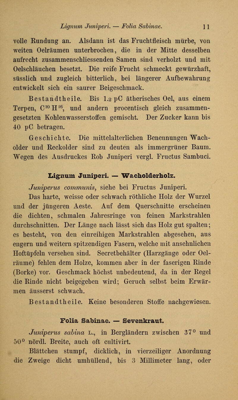 volle Rundung an. Alsdann ist das Fruchtfleisch mürbe, von weiten Oelräumen unterbrochen, die in der Mitte desselben aufrecht zusammenschliessenden Samen sind verholzt und mit Oelschläuchen besetzt. Die reife Frucht schmeckt gewürzhaft, süsslich und zugleich bitterlich, bei längerer Aufbewahrung entwickelt sich ein saurer Beigeschmack. Bestandtheile. Bis I.2 pC ätherisches Oel, aus einem Terpen, C'^H'^, und andern procentisch gleich zusammen- gesetzten Kohlenwasserstoffen gemischt. Der Zucker kann bis 40 pC betragen. Geschichte. Die mittelalterlichen Benennungen Wach- older und Reckolder sind zu deuten als immergrüner Baum. Wegen des Ausdruckes Rob Juniperi vergl. Fructus Sambuci. Isig^num Juniperi. — Wacholderholz. Juniperus communis, siehe bei Fructus Juniperi. Das harte, weisse oder schwach röthliche Holz der Wurzel und der jüngeren Aeste. Auf dem Querschnitte erscheinen die dichten, schmalen Jahresringe von feinen Markstrahlen durchschnitten. Der Länge nach lässt sich das Holz gut spalten; es besteht, von den einreihigen Markstrahlen abgesehen, aus engern und weitern spitzendigen Fasern, welche mit ansehnlichen Hoftüpfeln versehen sind. Secretbehälter (Harzgänge oder Oel- räume) fehlen dem Holze, kommen aber in der faserigen Rinde (Borke) vor. Geschmack höchst unbedeutend, da in der Regel die Rinde nicht beigegeben wird; Geruch selbst beim Erwär- men äusserst schwach. Bestandtheile. Keine besonderen Stoffe nachgewiesen. Folia Sabinae. — Sevenkraut. Juniperus sabina L., in Bergländern zwischen 37^ und 50^ nördl. Breite, auch oft cultivirt. Blättchen stumpf, dicklich, in vierzeiliger Anordnung die Zweige dicht umhüllend, bis 3 Millimeter lang, oder