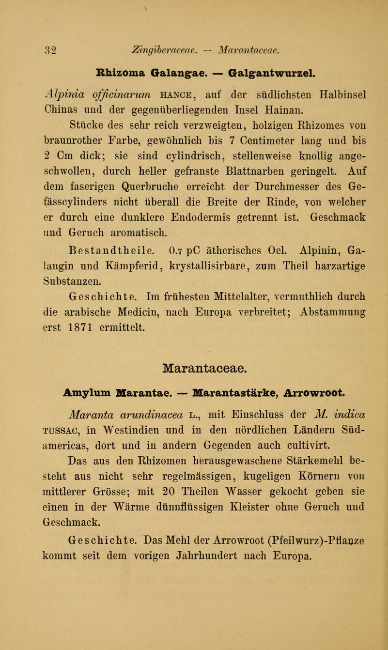 Rhizoma Galang:ae. — Galg'antwurzel. Alpinia officinarimi hange, auf der südlichsten Halbinsel Chinas und der gegenüberliegenden Insel Hainan. Stücke des sehr reich verzweigten, holzigen Rhizomes von braunrother Farbe, gewöhnlich bis 7 Centimeter lang und bis 2 Cm dick; sie sind cylindrisch, stellenweise knollig ange- schwollen, durch heller gefranste Blattnarben geringelt. Auf dem faserigen Querbruche erreicht der Durchmesser des Ge- fässcylinders nicht überall die Breite der Rinde, von welcher er durch eine dunklere Endodermis getrennt ist. Geschmack und Geruch aromatisch. Bestandtheile. 0.7 pC ätherisches Oel. Alpinin, Ga- langin und Kämpfend, krystallisirbare, zum Theil harzartige Substanzen. Geschichte. Im frühesten Mittelalter, vermuthlich durch die arabische Medicin, nach Europa verbreitet; Abstammung erst 1871 ermittelt. Marantaceae. Amylum Marantae. — Marantastärke, Arrowroot. Maranta arundinacea L., mit Einschluss der M. indica TUSSAC, in Westindien und in den nördlichen Ländern Süd- americas, dort und in andern Gegenden auch cultivirt. Das aus den Rhizomen herausgewaschene Stärkemehl be- steht aus nicht sehr regelmässigen, kugeligen Körnern von mittlerer Grösse; mit 20 Theilen Wasser gekocht geben sie einen in der Wärme dünnflüssigen Kleister ohne Geruch und Geschmack. Geschichte. Das Mehl der Arrowroot (Pfeilwurz)-Pflauze kommt seit dem vorigen Jahrhundert nach Europa.