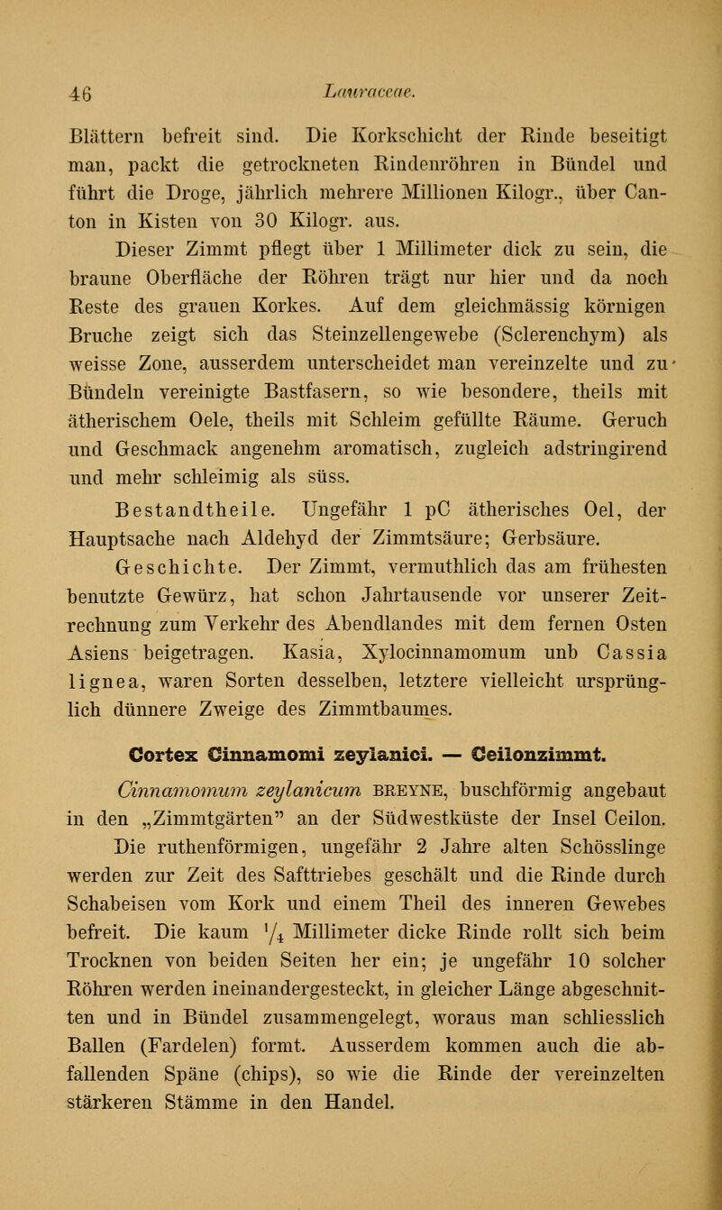Blättern befreit sind. Die Korkscliicht der Rinde beseitigt man, packt die getrockneten Rindenröhren in Bündel und führt die Droge, jährlich mehrere Millionen Kilogr., über Can- ton in Kisten von 30 Kilogr. aus. Dieser Zimmt pflegt über 1 Millimeter dick zu sein, die braune Oberfläche der Röhren trägt nur hier und da noch Reste des grauen Korkes. Auf dem gleichmässig körnigen Bruche zeigt sich das Steinzellengewebe (Sclerenchym) als weisse Zone, ausserdem unterscheidet man vereinzelte und zu Bündeln vereinigte Bastfasern, so wie besondere, theils mit ätherischem Oele, theils mit Schleim gefüllte Räume. Geruch und Geschmack angenehm aromatisch, zugleich adstringirend und mehr schleimig als süss. Bestandtheile. Ungefähr 1 pC ätherisches Oel, der Hauptsache nach Aldehyd der Zimmtsäure; Gerbsäure. Geschichte. Der Zimmt, vermuthlich das am frühesten benutzte Gewürz, hat schon Jahrtausende vor unserer Zeit- rechnung zum Verkehr des Abendlandes mit dem fernen Osten Asiens beigetragen. Kasia, Xylocinnamomum unb Cassia lignea, waren Sorten desselben, letztere vielleicht ursprüng- lich dünnere Zweige des Zimmtbaumes. Cortex Ginnamomi zeylanici. — Ceilonzimmt. Cinnamomum zeylanicum breyne, buschförmig angebaut in den „Zimmtgärten an der Südwestküste der Insel Ceilon. Die ruthenförmigen, ungefähr 2 Jahre alten Schösslinge werden zur Zeit des Safttriebes geschält und die Rinde durch Schabeisen vom Kork und einem Theil des inneren Gewebes befreit. Die kaum '/^ Millimeter dicke Rinde rollt sich beim Trocknen von beiden Seiten her ein; je ungefähr 10 solcher Röhren werden ineinandergesteckt, in gleicher Länge abgeschnit- ten und in Bündel zusammengelegt, woraus man schliesslich Ballen (Fardelen) formt. Ausserdem kommen auch die ab- fallenden Späne (chips), so wie die Rinde der vereinzelten stärkeren Stämme in den Handel.