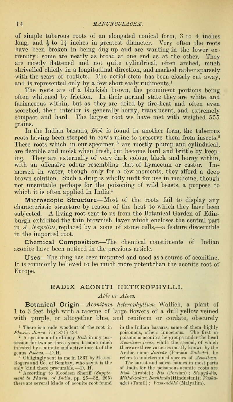 of simple tuberous roots of an elongated conical form, 3 to 4 inches long, and \ to If inches in greatest diameter. Very often the roots have been broken in being dug up and are wanting in the lower ex - tremity: some are nearly as broad at one end as at the other. They are mostly flattened and not quite cylindrical, often arched, much shrivelled chiefly in a longitudinal direction, and marked rather sparsely with the scars of rootlets. The aerial stem ttas been closely cut away, and is represented only by a few short scaly rudiments.^ The roots are of a blackish brown, the prominent portions being often whitened by friction. In their normal state they are white and farinaceous within, but as they are dried by fire-heat and often even scorched, their interior is generally horny, translucent, and extremely compact and hard. The largest root we have met with weighed 555 grains. In the Indian bazaars, Bish is found in another form, the tuberous roots having been steeped in cow's urine to preserve them from insects.^ These roots which in our specimen ^ are mostly plump and cylindrical, are flexible and moist when fresh, but become hard and brittle by keep- ing. They are externally of very dark colour, black and horny within, with an offensive odour resembling that of hyraceum or castor. Im- mersed in water, though only for a few moments, they afford a deep brown solution. Such a drug is wholly unfit for use in medicine, though not unsuitable perhaps for the poisoning of wild beasts, a purpose to which it is often applied in India.^ Microscopic Structure—Most of the roots fail to display any characteristic structure by reason of the heat to which they have been subjected. A living root sent to us from the Botanical Garden of Edin- burgh exhibited the thin brownish layer which encloses the central part in A. iVa^e/Zz^s, replaced by a zone of stone cells,—a feature discernible in the imported root. Chemical Composition—The chemical constituents of Indian aconite have been noticed in the previous article. Uses—The drug has been imported and used as a source of aconitine. It is commonly believed to be much more potent than the aconite root of Europe. RADIX ACONITI HETEROPHYLLI. Atis or Aiees. Botanical Origin—Aconitnm, hctcrophyllum Wallich, a plant of 1 to 3 feet high with a raceme of large flowers of a dull yellow veined with purple, or altogether blue, and reniform or cordate, obscurely ^ There is a rude woodcut of the root in iu the Indian liazaars, some of them highly PJuirm. Journ. i. (1871) 434. poisonous, others innocuous. Tlie first or ' A specimen of ordinary Bhli in my pos- poisonous acoiiites he i^oups under tlie head session for two or three years became much Aconilum ferox, wliile the second, of which infested by a minute and active insect of the tliere are three varieties mostly known by the geuus Psocus.—-D.H. Arabic name Jadvdr (Persian Zadvdr), lie '^ Obligingly sent to me in 1867 by Messrs. refers to undetermined sjiecies of Aconilum. Rogers and Co. of Bombay, who say it is the The surest and safest names in most parts only kind there procurable.—D. H. of India for the poisonous aconite roots are •• According to Moodeen Sheriff (Supple- Jh'sh (Aral)ic) ; Bis (Persian) ; Singyd-bis, 'iiient to Pharvi. of Iiulia, pp. '25—32, 20;)) MUhd-za}utr,Bachhndg{\\\\\<l\\%i2.\\\)\ Vasha- there are several kinds of aconite root found ndvi (Tamil) ; \'a,sa-ndbhi (Malyalim).