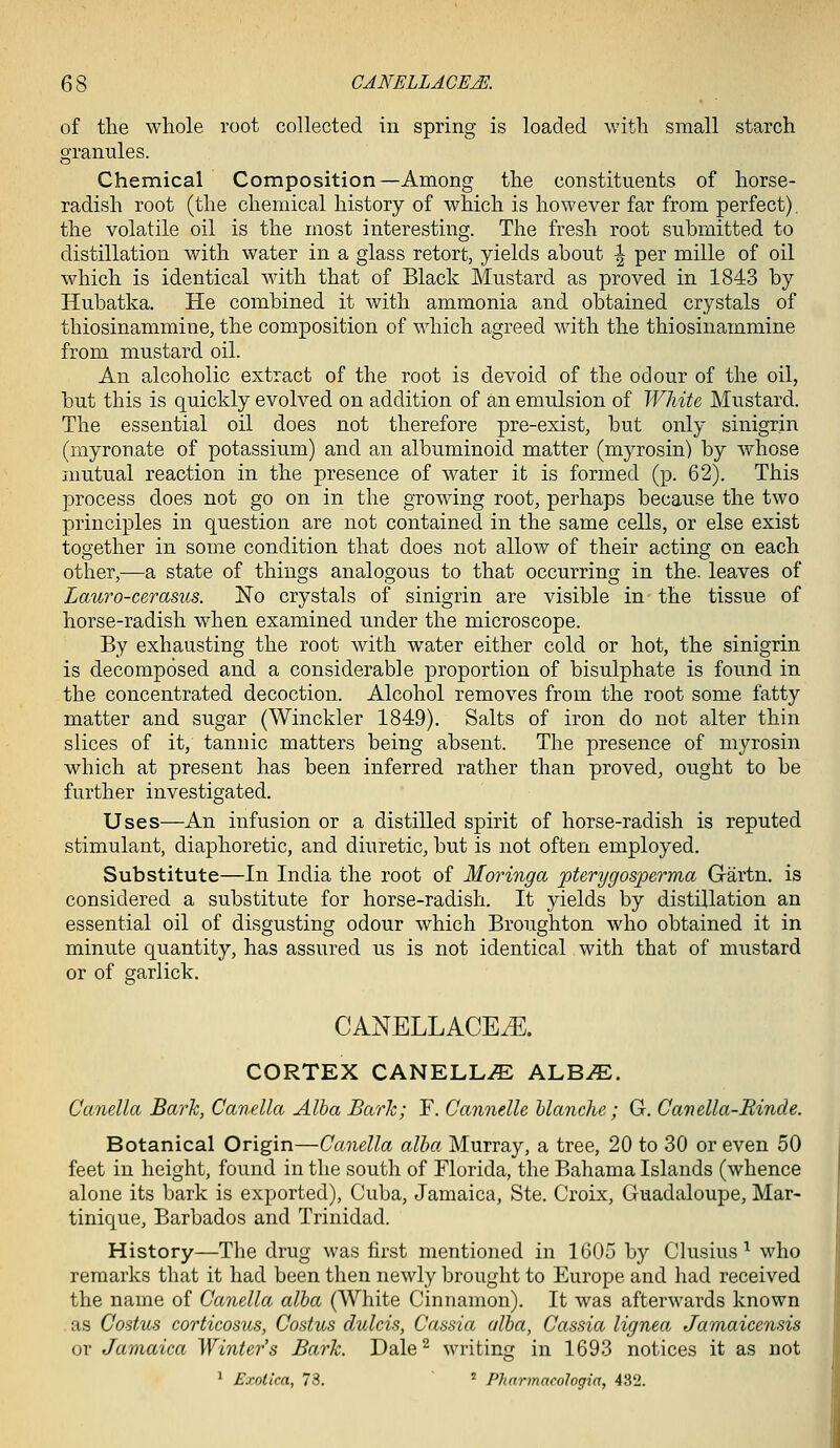 of the whole root collected iu spring is loaded with small starch granules. Chemical Composition—Among the constituents of horse- radish root (the chemical history of which is however far from perfect), the volatile oil is the most interesting. The fresh root submitted to distillation with water in a glass retort, yields about -| per mille of oil which is identical with that of Black Mustard as proved in 1843 by Hubatka. He combined it with ammonia and obtained crystals of thiosinammine, the composition of which agreed with the thiosinammine from mustard oil. An alcoholic extract of the root is devoid of the odour of the oil, but this is quickly evolved on addition of an emulsion of White Mustard. The essential oil does not therefore pre-exist, but only sinigrin (myron.ate of potassium) and an albuminoid matter (myrosin) by whose mutual reaction in the presence of water it is formed (p. 62). This process does not go on in the growing root, perhaps because the two principles in question are not contained in the same cells, or else exist together in some condition that does not allow of their acting on each other,—a state of things analogous to that occurring in the. leaves of Lauro-cerasus. No crystals of sinigrin are visible in the tissue of horse-radish when examined under the microscope. By exhausting the root with water either cold or hot, the sinigrin is decomposed and a considerable proportion of bisulphate is found in the concentrated decoction. Alcohol removes from the root some fatty matter and sugar (Winckler 1849). Salts of iron do not alter thin slices of it, tannic matters being absent. The presence of myrosin which at present has been inferred rather than proved, ought to be further investigated. Uses—An infusion or a distilled spirit of horse-radish is reputed stimulant, diaphoretic, and diuretic, but is not often employed. Substitute—In India the root of Moringa pterygosperma Gartn. is considered a substitute for horse-radish. It yields by distillation an essential oil of disgusting odour which Broughton who obtained it in minute quantity, has assured us is not identical with that of mustard or of garlick. CANELLACEiE. CORTEX CANELLiE ALB^E. Canella BarJc, Canella Alba Bark; F. Cannelle Uanche; G. Canella-Rinde. Botanical Origin—Canella alba Murray, a tree, 20 to 30 or even 50 feet in height, found in the south of Florida, the Bahama Islands (whence alone its bark is exported), Cuba, Jamaica, Ste, Croix, Guadaloupe, Mar- tinique, Barbados and Trinidad. History—The drug was first mentioned in 1G05 by Chisius ^ who remarks that it had been then newly brought to Europe and had received the name of Canella alba (White Cinnamon). It was afterwards known as Costus corticosus, Costus dulcis, Cassia alba, Cassia lignea Jamaiccnsis or Jamaica Winter's Barh. Dale ^ writing in 1693 notices it as not ' Exotica, 73. ^ PJiarmacologia, 432.