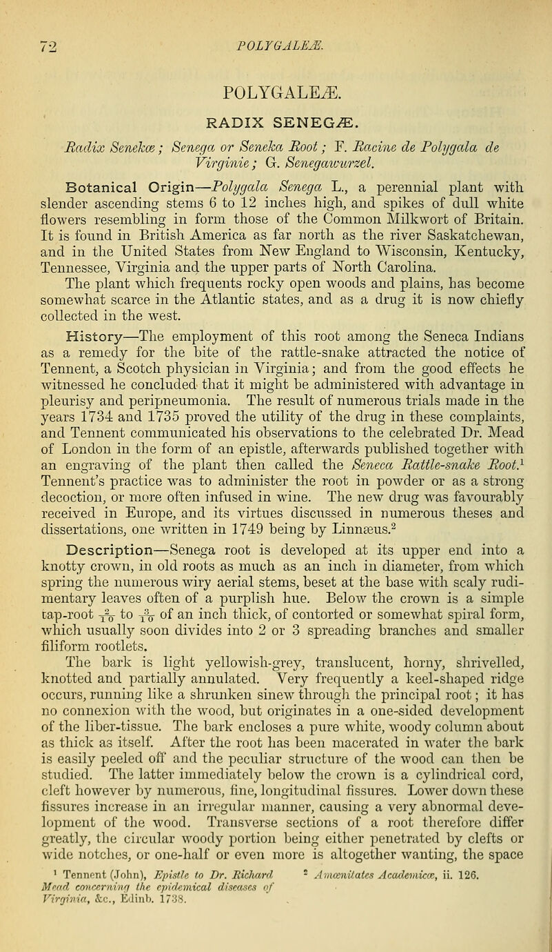 POLYGALEiE. RADIX SENEGA. Radix Senekce; Senega or Seneka Root; F. Racine de Polygala de Virginie; G. Senegawurzel. Botanical Origin—Polygala Senega L., a perennial plant witli slender ascending stems 6 to 12 inches high, and spikes of dull white flowers resembling in form those of the Common Milkwort of Britain. It is found in British America as far north as the river Saskatchewan, and in the United States from New England to Wisconsin, Kentucky, Tennessee, Virginia and the upper parts of North Carolina. The plant which frequents rocky open woods and plains, has become somewhat scarce in the Atlantic states, and as a drug it is now chiefly collected in the west. History—The employment of this root among the Seneca Indians as a remedy for the bite of the rattle-snake attracted the notice of Tennent, a Scotch physician in Virginia; and from the good effects he witnessed he concluded that it might be administered with advantage in pleurisy and peripneumonia. The result of numerous trials made in the years 1734 and 1735 proved the utility of the drug in these complaints, and Tennent communicated his observations to the celebrated Dr. Mead of London in the form of an epistle, afterwards published together with an engraving of the plant then called the Seneca Rattle-snake Root} Tennent's practice was to administer the root in powder or as a strong decoction, or more often infused in wine. The new drug was favourably received in Europe, and its virtues discussed in numerous theses aud dissertations, one written in 1749 being by Linnaeus.^ Description—Senega root is developed at its upper end into a knotty crown, in old roots as much as an inch in diameter, from which spring the numerous wiry aerial stems, beset at the base with scaly rudi- mentary leaves often of a purplish hue. Below the crown is a simple cap-root -fxy to -^-^ of an inch thick, of contorted or somewhat spiral form, which usually soon divides into 2 or 3 spreading branches and smaller filiform rootlets. The bark is light yellowish-grey, translucent, horny, shrivelled, knotted and partially annulated. Very frequently a keel-shaped ridge occurs, running like a shrunken sinew througli the principal root; it has no connexion with the wood, but originates in a one-sided development of the liber-tissue. Tlie bark encloses a pure white, woody column about as thick as itself. After the root has been macerated in water the bark is easily peeled off and the peculiar structure of the wood can then be studied. The latter immediately below the crown is a cylindrical cord, cleft however by numerous, fine, longitudinal fissures. Lower down these fissures increase in an irregular manner, causing a very abnormal deve- lopment of the wood. Transverse sections of a root therefore differ greatly, the circular woody portion being either penetrated by clefts or wide notches, or one-half or even more is altogether wanting, the space ' Tennent (John), Epistle to Dr. Ricliard - A uiceniiales Academicce, ii. 126. Mead concerninrj the epidemical diseases of Virginia, &c., Edinb. 1738.