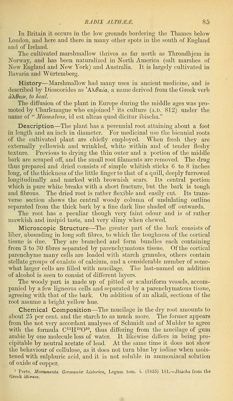 In Britain it occurs in tlie low grounds bordering the Thames below London, and here and there in many other spots in the south of England and of Ireland. The cultivated marshmallow thrives as far north as Throndbjem in Norway, and has been naturalized in North America (salt marshes of New England and New York) and Australia. It is largely cultivated in Bavaria and Wiirtemberg. History—Marshmallow had many uses in ancient medicine, and is described by Dioscorides as ^AXOala, a name derived from the G-reek verb okQeiv, to heal. The diffusion of the plant in Europe during the middle ages was pro- moted by Charlemagne who enjoined^ its culture (a.d. 812) under the name of  Mismalvas, id est alteas quod dicitur ibischa. Description—The plant has a perennial root attaining about a foot in length and an inch in diameter. For medicinal use the biennial roots of the cultivated plant are chiefly employed. When fresh they are externally yellowish and wrinkled, white within and of tender fleshy texture. Previous to drying the thin outer and a portion of the middle bark are scraped off, and the small root filaments are removed. The drug thus prepared and dried consists of simple whitish sticks 6 to 8 inches long, of the thickness of the little finger to that of a quill, deeply furrowed longitudinally and marked with brownish scars. Its central portion which is pure white breaks with a short fracture, but the bark is tough and fibrous. The dried root is rather flexible and easily cut. Its trans- verse section shows the central woody column of undulating outline separated from the thick bark by a fine dark line shaded ofi outwards. The root has a peculiar though very faint odour and is of rather mawkish and insipid taste, and very slimy when chewed. Microscopic Structure—The greater part of the bark consists of liber, abounding in long soft fibres, to which the toughness of the cortical tissue is due. They are branched and form bundles each containing from 3 to 30 fibres separated by parenchymatous tissue. Of the cortical parenchyme many cells are loaded with starch granules, others contain stellate groups of oxalate of calcium, and a considerable number of some- what larger cells are fiUed with mucilage. The last-named on addition of alcohol is seen to consist of different layers. The woody part is made up of pitted or scalariform vessels, accom- panied by a few ligneous cells and separated by a parenchymatous tissue, agreeing with that of the bark. On addition of an alkali, sections of the root assume a bright yellow hue. Chemical Composition-—The mucilage in the dry root amounts to about 25 per cent, and the starch to as much more. The former appears from the not very accordant analyses of Schmidt and of Mulder to agree with the formula C^^H^^'O^*', thus differing from the mucilage of gum arable by one molecule less of water. It likewise differs in being pre- cipitable by neutral acetate of lead. At the same time it does not show the behaviour of cellulose, as it does not turn blue by iodine when mois- tened with sulphuric acid, and it is not soluble in ammoniacal solution of oxide of copper. 1 Pertz, Monumenta Germanioe historica, Legum torn. i. (1835) 181.—Ibischa from the Greek l^iffKos.