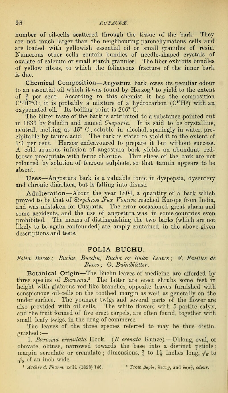 number of oil-cells scattered through the tissue of the bark. They are not much larger than the neighbouring parenchymatous cells and are loaded with yellowish essential oil or small granules of resin. Numerous other cells contain bundles of needle-shaped crystals of oxalate of calcium or small starch granules. The liber exhibits bundles of yellow fibres, to which the foliaceous fracture of the inner bark is due. Chemical Composition—Angostura bark owes its peculiar odour to an essential oil which it was found by Herzog^ to yield to the extent of f per cent. According to this chemist it has the composition Q13JJ24Q . j^ jg probably a mixture of a hydrocarbon (C^^H^) with an oxygenated oil. Its boiling point is 266° C. The bitter taste of the bark is attributed to a substance pointed out in 1833 by Saladin and named Ciosparin. It is said to be crystalline, neutral, melting at 45° C, soluble in alcohol, sparingly in water, pre- cipitable by tannic acid. The bark is stated to yield it to the extent of 13 per cent. Herzog endeavoured to prepare it but without success. A cold aqueous infusion of angostura bark yields an abundant red- brown precipitate with ferric chloride. Thin slices of the bark are not coloured by solution of ferrous sulphate, so that tannin appears to be absent. Uses—Angostura bark is a valuable tonic in dyspepsia, dysentery and chronic diarrhoea, but is falling into disuse. Adulteration—About the year 1804, a quantity of a bark which proved to be that of Strychnos Nux Vomica reached Europe from India, and was mistaken for Cusparia. The error occasioned great alarm and some accidents, and the use of angostura was in some countries even prohibited. The means of distinguishing the two barks (which are not likely to be again confounded) are amply contained in the above-given descriptions and tests. FOLIA BUCHU. Folia Bucco; Biixhii, Bucchu, Bucha or Buka Leaves; F. Feuilles de Bucco; G. Bukubldtter. Botanical Origin—The Buchu leaves of medicine are afforded by three species of Barosma'} The latter are erect shrubs some feet in height with glabrous rod-like branches, opposite leaves furnished with conspicuous oil-cells on the toothed margin as well as generally on the under surface. The younger twigs and several parts of the floAver are also provided with oil-cells. The white flowers with 5-partite calyx, and the fruit formed of five erect carpels, are often found, together with small leafy twigs, in the drug of commerce. The leaves of the three species referred to may be thus distin- guished :— 1. Barosma crenulata Hook. {B. crenata Kunze).—Oblong, oval, or obovate, obtuse, narrowed towards the base into a distinct petiole ; margin serndate or crenulate ; dimensions, | to 1^ inches long, y\ to -^^ uf an inch wide. 1 Archiv d. Pharm. xciii. (1858) 146.  From Papvs, heavy, and o(7/uj), odour.
