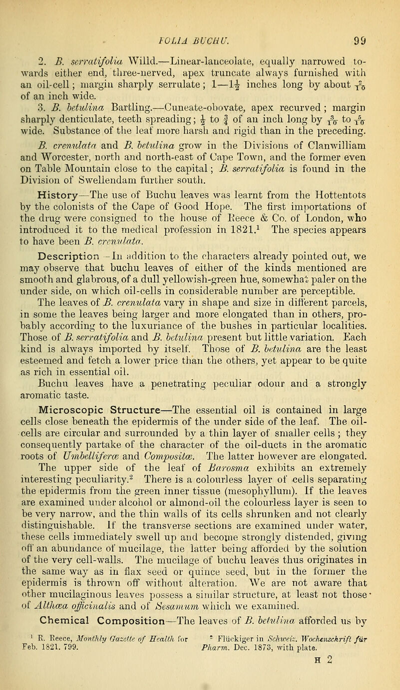 2. B. scrratifolia Wiild.—Linear-lauceolate, equally narrowed to- wards either end, three-nerved, apex truncate always furnished with an oil-cell; margin sharply serrulate; 1—1-| inches long by about -j^ of an inch wide. 3. B. hctulina Bartling.—Cuneate-obovate, apex recurved ; margin sharply denticulate, teeth spreading; |- to | of an inch long by j^ to ^^ wide. Substance of the leaf more harsh and rigid than in the preceding. B. crenulata and B. hetulina grow in the Divisions of Clanwilliam and Worcester, north and north-east of Cape Town, and the former even on Table Mountain close to the capital; B. serratifolia is found in the Division of Swellendam further south. History—The use of Buchu leaves was learnt from the Hottentots by the colonists of the Cape of Good Hope. The first importations of the drug were consigned to the house of Reece & Co. of London, who introduced it to the medical profession in 1821.^ The species appears to have been B. crenulata. Description -In addition to the characters already pointed out, we may observe that buchu leaves of either of the kinds mentioned are smooth and glabrous, of a dull yellowish-green hue, somewhat paler on the under side, on which oil-cells in considerable number are perceptible. The leaves of B. crenulata vary in shape and size in different parcels, in some the leaves being larger and more elongated than in others, pro- bably according to the luxuriance of the bushes in particular localities. Those of B. serratifolia and B. hctulina present but little variation. Each kind is always imported by itself. Those of B. hetulina are the least esteemed and fetch a lower price than the others, yet appear to be quite as rich in essential oil. Buchu leaves have a penetrating peculiar odour and a strongly aromatic taste. Microscopic Structure—The essential oil is contained in large cells close beneath the epidermis of the under side of the leaf. The oil- cells are circular and surrounded by a thin layer of smaller cells ; they consequently partake of the character of the oil-ducts in the aromatic roots of UtnhellifercB and Compusitce. The latter however are elongated. The upper side of the leaf of Barosma exhibits an extremely interesting peculiarity.^ There is a colourless layer of cells separating the epidermis from the green inner tissue (mesophyllum). If the leaves are examined under alcohol or almond-oil the colourless layer is seen to be very narrow, and the thin walls of its cells shrunken and not clearly distinguishable. If the transverse sections are examined under water, these cells immediately swell up and become strongly distended, giving off' an abundance of mucilage, the latter being afforded by the solution of the very cell-walls. The mucilage of buchu leaves thus originates in the same way as in flax seed or quince seed, but in the former the epidermis is thrown off without alteration. We are not aware that other mucilaginous leaves possess a similar structure, at least not those of Althma officinalis and of Sesamu7n which we examined. Chemical Composition—The leaves of B. hetulina afforded us by ^ E. Reece, Monthly Gaz&tte of Health for  Fliickiger in Schweiz. Wochenschrift fiir Feb. 1821. 799.  Pharm. Dec. 1873, with plate. H 2