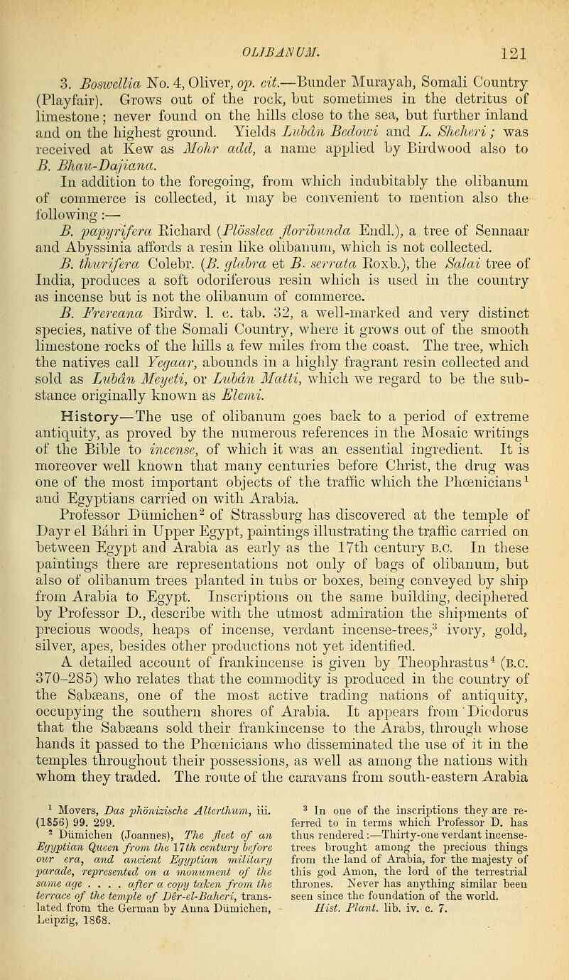 3. Bosiodlia No. 4, Oliver, op. cit.—Bunder Murayah, Somali Country (Playfair). Grows out of the rock, but sometimes in the detritus of limestone; never found on the hills close to the sea, but further inland and on the highest ground. Yields Lutein Bedowi and L. Sheheri ; was received at Kew as Mohr add, a name applied by Birdwood also to B. Bhau-Dajiana. In addition to the foregoing, from which indubitably the olibanum of commerce is collected, it may be convenient to mention also the following :— B. papyrifera Eichard {Plosslea Jioribunda Endl), a tree of Sennaar and Abyssinia affords a resin like olibanum, which is not collected. B. thurifera Colebr. [B. glabra et B. serrata Eoxb.), the Salai tree of India, produces a soft odoriferous resin which is used in the country as incense but is not the olibanum of commerce. B. Frereana Birdw. 1. c. tab. 32, a well-marked and very distinct species, native of the Somali Country, where it grows out of the smooth limestone rocks of the hills a few miles from the coast. The tree, which the natives call Yegaar, abounds in a highly fragrant resin collected and sold as Luhdn Meyeti, or Lubdn Matti, which we regard to be the sub- stance originally known as Elemi. History—The use of olibanum goes back to a period of extreme antiquity, as proved by the numerous references in the Mosaic writings of the Bible to incense, of which it was an essential ingredient. It is moreover well known that many centuries before Christ, the drug was one of the most important objects of the traffic which the Phoenicians^ and Egyptians carried on with Arabia. Professor Dllmichen^ of Strassburg has discovered at the temple of Dayr el Bahri in Upper Egypt, paintings illustrating the traffic carried on between Egypt and Arabia as early as the 17th century B.C. In these paintings there are representations not only of bags of olibanum, but also of olibanum trees planted in tubs or boxes, being conveyed by ship from Arabia to Egypt. Inscriptions on the same building, deciphered by Professor D., describe with the utmost admiration the shipments of precious woods, heaps of incense, verdant incense-trees,^ ivory, gold, silver, apes, besides other productions not yet identified. A detailed account of frankincense is given by Theophrastus* (b.c. 370-285) who relates that the commodity is produced in the country of the Sabseans, one of the most active trading nations of antiquity, occupying the southern shores of Arabia. It appears from'Diodorus that the Sabseans sold their frankincense to the Arabs, through whose hands it passed to the Phoenicians who disseminated the use of it in the temples throughout their possessions, as well as among the nations with whom they traded. The route of the caravans from south-eastern Arabia 1 Movers, Das pJiQnizisclie Altertluim, iii. ^ In one of the inscriptions they are re- (1S56) 99. 299. ferred to in terms which Professor D. has * Diimichen (Joannes), The fleet of an thus rendered:—Thirty-one verdant incense- Eyyptian Queen from the 17th century before trees brought among the precious things our era, and ancient Egyptian miilitary from the land of Arabia, for the majesty of parade, represented on a monument of the this god Amon, the lord of the terrestrial same age .... after a copy taken from the thrones. Never has anything similar been terrace of the temple of Der-el-Baheri, trans- seen since the foundation of the world, lated from the German by Anna Diimichen, - Hist. Plant, lib. iv. c. 7. Leipzig, 1868.