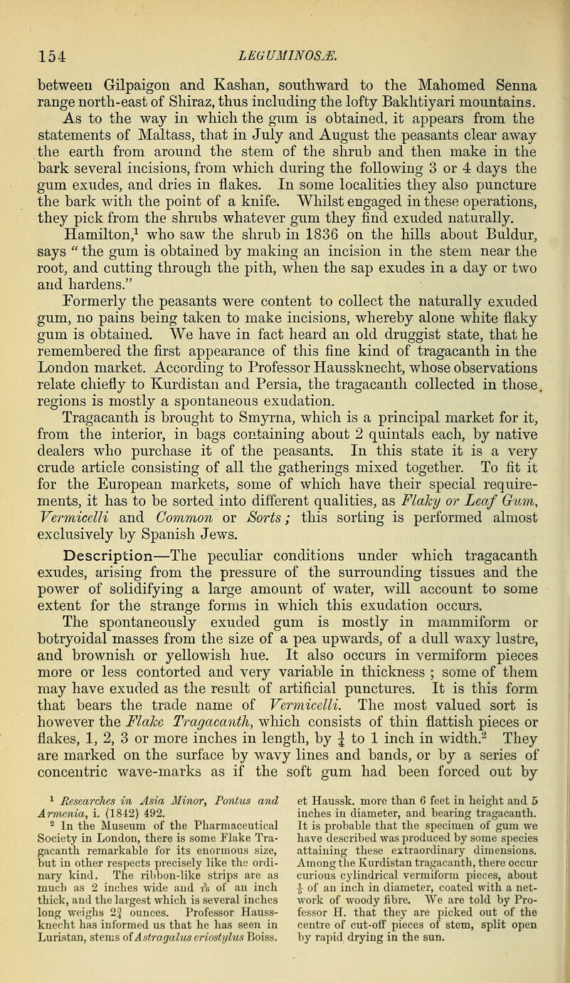 between Gilpaigon and Kashan, southward to the Mahomed Senna range north-east of Shiraz, thus including the lofty Bakhtiyari mountains. As to the way in which the gum is obtained, it appears from the statements of Maltass, that in July and August the peasants clear away the earth from around the stem of the shrub and then make in the bark several incisions, from which during the following 3 or 4 days the gum exudes, and dries in flakes. In some localities they also puncture the bark with the point of a knife. Whilst engaged in these operations, they pick from the shrubs whatever gum they find exuded naturally. Hamilton,^ who saw the shrub in 1836 on the hills about Buldur, says  the gum is obtained by making an incision in the stem near the root, and cutting through the pith, when the sap exudes in a day or two and hardens. Formerly the peasants were content to collect the naturally exuded gum, no pains being taken to make incisions, whereby alone white flaky gum is obtained. We have in fact heard an old druggist state, that he remembered the first appearance of this fine kind of tragacanth in the London market. According to Professor Haussknecht, whose observations relate chiefly to Kurdistan and Persia, the tragacanth collected in those, regions is mostly a spontaneous exudation. Tragacanth is brought to Smyrna, which is a principal market for it, from the interior, in bags containing about 2 quintals each, by native dealers who purchase it of the peasants. In this state it is a very crude article consisting of all the gatherings mixed together. To fit it for the European markets, some of which have their special require- ments, it has to be sorted into different qualities, as Flaky or Leaf Gum, Vermicelli and Common or Sorts; this sorting is performed almost exclusively by Spanish Jews. Description—The peculiar conditions under which tragacanth exudes, arising from the pressure of the surrounding tissues and the power of solidifying a large amount of water, will account to some extent for the strange forms in which this exudation occurs. The spontaneously exuded gum is mostly in mammiform or botryoidal masses from the size of a pea upwards, of a dull waxy lustre, and brownish or yellowish hue. It also occurs in vermiform pieces more or less contorted and very variable in thickness ; some of them may have exuded as the result of artificial punctures. It is this form that bears the trade name of Vermicelli. The most valued sort is however the Flake Tragacanth, which consists of thin flattish pieces or flakes, 1, 2, 3 or more inches in length, by | to 1 inch in width.^ They are marked on the surface by wavy lines and bands, or by a series of concentric wave-marks as if the soft gum had been forced out by ^ Researches in Asia Minor, Pontus and et Haussk. more than 6 feet in height and 5 Armenia, i. (1842) 492. inches in diameter, and bearing tragacanth. ^ In the Museum of the Pharmaceutical It is probable that the specimen of gum we Society in London, there is some Flake Tra- have described was produced by some species gacanth remarkable for its enormous size, attaining these extraordinary dimensions, but in other respects precisely like the ordi- Among the Kurdistan tragacanth, there occur nary kind. The ribbon-like strips are as curious cylindrical vermiform pieces, about much as 2 inches wide and A of an inch \ of an inch in diameter, coated with a net- thick, and the largest which is several inches work of woody fibre. We are told by Pro- long weighs 24 ounces. Professor Hauss- fessor H. that they are picked out of the knecht has informed us that he has seen in centre of cut-off pieces of stem, split open Luristau, stems oiAstragalus eriostylus Boiss. by rapid drying in the sun.