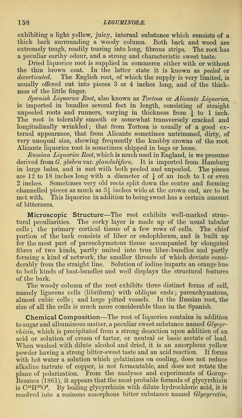 exhibiting a light yellow, juicy, internal substance which consists of a thick bark surrounding a woody column. Both bark and wood are extremely tough, readily tearing into long, fibrous strips. The root has a peculiar earthy odour, and a strong and characteristic sweet taste. Dried liquorice root is supplied in commerce either with or without the thin brown coat. In the latter state it is known as peeled or decorticated. The English root, of which the supply is very limited, is usually offered cut into pieces 3 or 4 inches long, and of the thick- ness of the little finger. Spanish Liquorice Boot, also known as Tor torn or Alicante Liquorice, is imported in bundles several feet in length, consisting of straight unpeeled roots and runners, varying in thickness from :| to 1 inch. The root is tolerably smooth or somewhat transversely cracked and longitudinally wrinkled; that from Tortosa is usually of a good ex- ternal appearance, that from Alicante sometimes untrimmed, dirty, of very unequal size, showing frequently the knobby crowns of the root. Alicante liquorice root is sometimes shipped in bags or loose. Russian Liquorice Boot, which is much used in England, is we presume derived from G. glabra var. glandulifera. It is imported from Hamburg in large bales, and is met with both peeled and unpeeled. The pieces are 12 to 18 inches long with a diameter of \ of an inch to 1 or even 2 inches. Sometimes very old roots split down the centre and forming channelled pieces as much as 3| inches wide at the crown end, are to be met with. This liquorice in addition to being sweet has a certain amount of bitterness. Microscopic Structure—The root exhibits well-marked struc- tural peculiarities. The corky layer is made up of the usual tabular cells; the primary cortical tissue of a few rows of cells. The chief portion of the bark consists of liber or endophlceum, and is built up for the most part of parenchymatous tissue accompanied by elongated fibres of two kinds, partly united into true liber-bundles and partly forming a kind of network, the smaller threads of which deviate consi- derably from the straight line. Solution of iodine imparts an orange hue to both kinds of bast-bundles and well displays the structural features of the bark. The woody column of the root exhibits three distinct forms of cell, namely ligneous cells (libriform) with oblique ends; parenchymatous, almost cubic cells; and large pitted vessels. In the Eussian root, the size of all the cells is much more considerable than in the Spanish. Chemical Composition—The root of liquorice contains in addition to sugar and albuminous matter, a peculiar sweet substance named Glycyr- rhizin, which is precipitated from a strong decoction upon addition of an acid or solution of cream of tartar, or neutral or basic acetate of lead. When washed with dilute alcohol and dried, it is an amorphous yellow powder having a strong bitter-sweet taste and an acid reaction. It forms with hot water a solution which gelatinizes on cooling, does not reduce alkaline tartrate of copper, is not fermentable, and does not rotate the plane of polarization. From the analyses and experiments of Gorup- Besanez (1861), it appears that the most probable formula of glycyrrhizin is C^^H^^O®. By boiling glycyrrhizin with dilute hydrochloric acid, it is resolved into a resinous amorphous bitter substance named Glycyrretin,