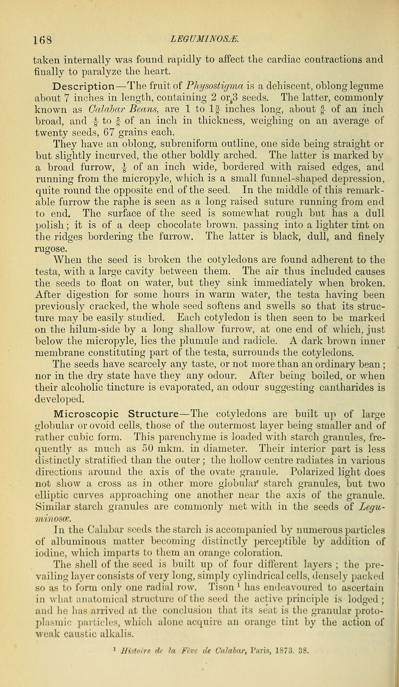 taken internally was found rapidly to affect the cardiac contractions and finally to paralyze the heart. Description—The fruit of Physostigma is a dehiscent, oblong legume about 7 inches in length, containing 2 OT!^i seeds. The latter, commonly known as Calabar Beans, are 1 to If inches long, about f of an inch broad, and f to f of an inch in thickness, weighing on an average of twenty seeds, 67 grains each. They have an oblong, subreniform outline, one side being straight or but slightly incurved, the other boldly arched. The latter is marked by a broad furrow, ^ of an inch wide, bordered with raised edges, and running from the micropyle, which is a small funnel-shaped depression, quite round the opposite end of the seed. In the middle of this remark- able furrow the raphe is seen as a long raised suture running from end to end. The surface of the seed is somewhat rough but has a dull polish; it is of a deep chocolate brown, passing into a lighter tint on the ridges bordering the furrow. The latter is black, dull, and finely rugose. When the seed is broken the cotyledons are found adherent to the testa, with a large cavity between them. The air thus included causes the seeds to float on water, but they sink immediately when broken. After digestion for some hours in warm water, the testa having been previously cracked, the whole seed softens and swells so that its struc- ture may be easily studied. Each cotyledon is then seen to be marked on the hilum-side by a long shallow furrow, at one end of which, just below the micropyle, lies the plumule and radicle. A dark brown inner membrane constituting part of the testa, surrounds the cotyledons. The seeds have scarcely any taste, or not more than an ordinary bean ; nor in the dry state have they any odour. After being boiled, or when their alcoholic tincture is evaporated, an odour suggesting cantharides is developed. Microscopic Structure—The cotyledons are built up of large globular or ovoid cells, those of the outermost layer being smaller and of rather cubic form. This parenchyme is loaded with starch granules, fre- quently as much as 50 mkm. in diameter. Their interior part is less distinctly stratified than the outer ; the hollow centre radiates in various directions around the axis of the ovate granule. Polarized light does not show a cross as in other more globulai' starch granules, but two elliptic curves approaching one another near the axis of the granule. Similar starch granules are commonly met with in the seeds of Legu- oninosce. In the Calabar seeds the starch is accompanied by numerous particles of albuminous matter becoming distinctly perceptible by addition of iodine, which imparts to them an orange coloration. The shell of the seed is built up of four different layers ; the pre- vailing layer consists of very long, simply cylindrical cells, densely packed so as to form only one radial row. Tison ^ has endeavoured to ascertain in what anatomical structure of the seed the active principle is lodged; and he has arrived at the conclusion that its seat is the granular proto- plasmic particles, which alone acquire an orange tint by the action of weak caustic alkalis. ^ Hiitoirr, de la Five de Calabar, Paris, 1873. 38.