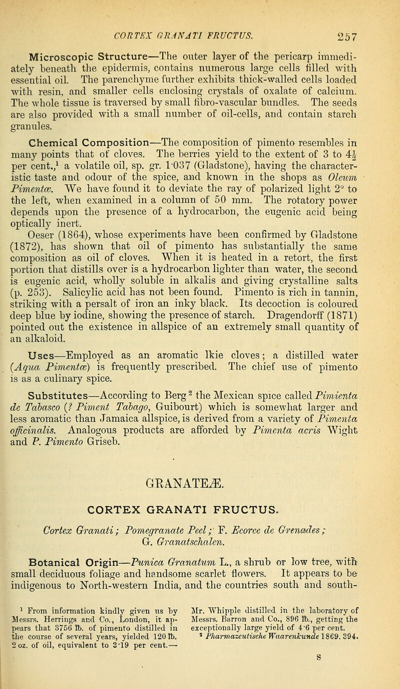 Microscopic Structure—The outer layer of the pericarp immedi- ately beneath the epidermis, contains numerous large cells filled with essential oil. The parenchyme further exhibits thick-walled cells loaded with resin, and smaller cells enclosing crystals of oxalate of calcium. The whole tissue is traversed by small hbro-vascular bundles. The seeds are also provided with a small number of oil-cells, and contain starch granules. Chemical Composition—The composition of pimento resembles in many points that of cloves. The berries yield to the extent of 3 to 4| per cent./ a volatile oil, sp. gr. 1-037 (Gladstone), having the character- istic taste and odour of the spice, and known in the shops as Oleum Pimentce. We have found it to deviate the ray of polarized light 2° to the left, when examined in a column of 50 mm. The rotatory power depends upon the presence of a hydrocarbon, the eugenic acid being optically inert. Oeser (1864), whose experiments have been confirmed by Gladstone (1872), has shown that oil of pimento has substantially the same composition as oil of cloves. When it is heated in a retort, the first portion that distills over is a hydrocarbon lighter than water, the second is eugenic acid, wholly soluble in alkalis and giving crystalline salts (p. 253). Salicylic acid has not been found. Pimento is rich in tannin, striking with a persalt of iron an inky black. Its decoction is coloured deep blue by iodine, showing the presence of starch. Dragendorff (1871) pointed out the existence in allspice of an extremely small quantity of an alkaloid. Uses—Employed as an aromatic Ikie cloves; a distilled water {Aqua Pimentce) is frequently prescribed. The chief use of pimento is as a culinary spice. Substitutes—According to Berg ^ the Mexican spice called Pimienta de Tabasco (J Piment Tobago, Guibourt) which is somewhat larger and less aromatic than Jamaica allspice, is derived from a variety of Pimenta officinalis. Analogous products are afforded by Pimenta acris Wight and P. Pimento Griseb. GRANATE^. CORTEX GRANATI FRUCTUS. Cortex Granati; Pomegranate Peel; F. Ecorce de Grenades; G. Granatschalen. Botanical Origin—Punica Granatum L., a shrub or low tree, with- small deciduous foliage and handsome scarlet flowers. It appears to b& indigenous to North-western India, and the countries south and south- ^ From information kindly given ns by Mr. Whipple distilled in the lahoratory of Messrs. Herrings and Co., London, it ap- Messrs. Barron and Co., 896 lb., getting the pears that 3756 R). of pimento distilled in exceptionally large yield of 4'6 percent, the course of several years, yielded 1201b. ^ PhaTmazetitischeWaarenkunde\%%^.2,'a. 2 oz. of oil, equivalent to 3*19 per cent.—• S