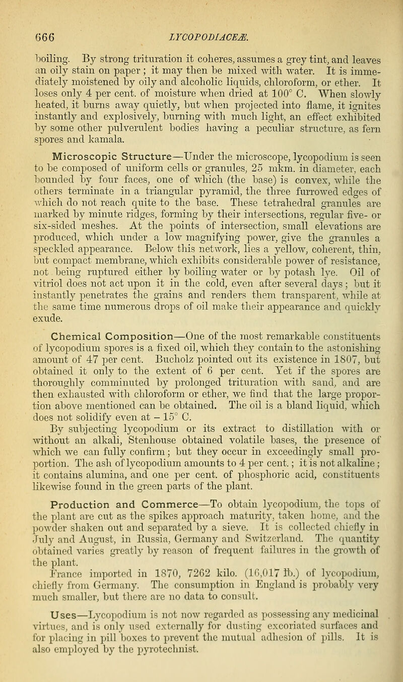 G66 LYCOPODIACEM boiling. By strong trituration it coheres, assumes a grey tint, and leaves an oily stain on paper ; it may then be mixed with water. It is imme- diately moistened by oily and alcoholic liquids, chloroform, or ether. It loses only 4 per cent, of moisture when dried at 100° C. When slowly heated, it burns away quietly, but when projected into flame, it ignites instantly and explosively, burning with much light, an effect exhibited by some other pulverulent bodies having a peculiar structure, as fern spores and kamala. Microscopic Structure—Under the microscope, lycopodium is seen to be composed of uniform cells or granules, 25 mkm. in diameter, each bounded by four faces, one of which (the base) is convex, while the others terminate in a triangular pyramid, the three furrowed edges of which do not reach quite to the base. These tetrahedral granules are marked by minute ridges, forming by their intersections, regular five- or six-sided meshes. At the points of intersection, small elevations are produced, which under a low magnifying power, give the granules a speckled appearance. Below this network, lies a yellow, coherent, thin, but compact membrane, which exhibits considerable power of resistance, not being ruptured either by boiling water or by potash lye. Oil of vitriol does not act upon it in the cold, even after several days; but it instantly penetrates the grains and renders them transparent, while at the same time numerous drops of oil make their appearance and quickly exude. Chemical Composition—One of the most remarkable constituents of lycopodium spores is a fixed oil, which they contain to the astonishing amount of 47 per cent. Bucholz pointed out its existence in 1807, but obtained it only to the extent of 6 per cent. Yet if the spores are thoroughly comminuted by prolonged trituration with sand, and are then exhausted with chloroform or ether, we find that the large propor- tion above mentioned can be obtained. The oil is a bland liquid, which does not solidify even at - 15° C. By subjecting lycopodium or its extract to distillation with or without an alkali, Stenhouse obtained volatile bases, the presence of which we can fully confirm; but they occur in exceedingly small pro- portion. The ash of lycopodium amounts to 4 per cent.; it is not alkaline ; it contains alumina, and one per cent, of phosphoric acid, constituents likewise found in the green parts of the plant. Production and Commerce—To obtain lycopodium, the tops of the plant are cut as the spikes approach maturity, taken home, and the powder shaken out and separated by a sieve. It is collected chiefly in -July and August, in Paissia, Germany and Switzerland. The quantit}^ obtained varies greatly by reason of frequent failures in the growth of the plant. France imported in 1870, 7262 kilo. (10,017 ft).) of lycopodium, chiefly from Germany. The consumption in England is probably very much smaller, but there are no data to consult. Uses—Lycopodium is not now regarded as possessing any medicinal virtues, and is only used externally for dusting excoriated surfaces and for jjlacing in jnll boxes to prevent the mutual adhesion of pills. It is also employed by the pyrotechnist. I