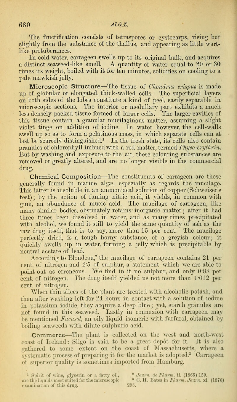 The fructification consists of tetraspores or cystocarps, rising but sliglitly from the substance of the thallus, and appearing as little wart- like protuberances. In cold water, carrageen swells up to its original bulk, and acquires a distinct seaweed-like smell. A quantity of water equal to 20 or 30 times its weight, boiled with it for ten minutes, solidifies on cooling to a pale mawkish jelly. Microscopic Structure—The tissue of Chondrus crispus is made up of globular or elongated, thick-walled cells. The superficial layers on both sides of the lobes constitute a kind of peel, easily separable in microscopic sections. The interior or medullary part exhibits a much less densely packed tissue formed of larger cells. The larger cavities of this tissue contain a granular mucilaginous matter, assuming a slight violet tinge on addition of iodine. In water however, the cell-walls swell up so as to form a gelatinous mass, in which separate cells can at last be scarcely distinguished.^ In the fresh state, its cells also contain granules of chlorophyll imbued with a red matter, termed Phyco-erythrin. But by washing and exposure to the air, these colouring substances are removed or greatly altered, and are no longer visible in the commercial drug. Chemical Composition—The constituents of carrageen are those generally found in marine algse, especially as regards the mucilage. This latter is insoluble in an ammoniacal solution of copper (Schweizer's test); by the action of fuming nitric acid, it yields, in common with gum, an abundance of mucic acid. The mucilage of carrageen, like many similar bodies, obstinately retains inorganic matter; after it had three times been dissolved in water, and as many times precipitated with alcohol, we found it still to yield the same quantity of ash as the raw drug itself, that is to say, more than 15 per cent. The mucilage perfectly dried, is a tough horny substance, of a greyish colour; it quickly swells up in water, forming a jelly which is precipitable by neutral acetate of lead. According to Blondeau,^ the mucilage of carrageen contains 21 per cent, of nitrogen and 2'5 of sulphur, a statement which we are able to point out as erroneous. We find in it no sulphur, and only 0'88 per cent, of nitrogen. The drug itself yielded us not more than 1-012 per cent, of nitrogen. When thin slices of the plant are treated with alcoholic potash, and then after washing left for 24 hours in contact with a solution of iodine in potassium iodide, they acquire a deep blue; yet, starch granules are not found in this seaweed. Lastly in connexion with carrageen may be mentioned Fucusol, an oily liquid isomeric with furfurol, obtained by boiling seaweeds with dilute sulphuric acid. Commerce—Tlie plant is collected on the west and north-west coast of Ireland: Sligo is said to be a great depot for it. It is also gathered to some extent on the coast of Massachusetts, where a systematic process of preparing it for the market is adopted,^ Can-ageen of superior quality is sometimes imported from Hamburg. ^ Spirit of wine, glycerin or a fatty oil,  Journ. dc Pharrn. ii. (1865) 159. are the li<iiii<l.s most suited for the microscopic ^ CJ. II. liaXca in Pliarm. Journ. xi. (1870) examination of this drug. 298.