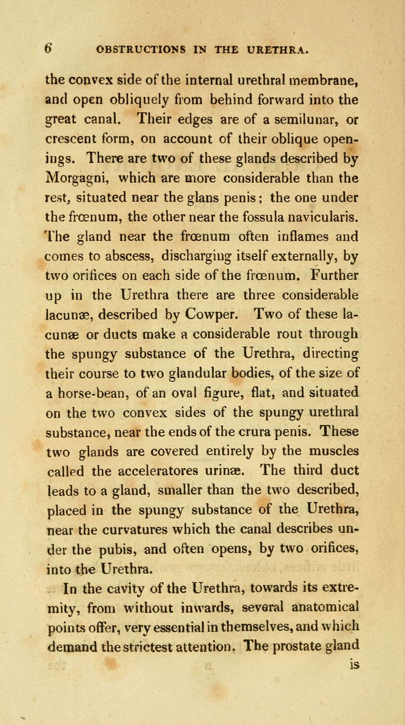 the convex side of the internal urethral membrane, and open obliquely from behind forward into the great canal. Their edges are of a semilunar, or crescent form, on account of their oblique open- ings. There are two of these glands described by Morgagni, which are more considerable than the rest, situated near the glans penis; the one under the frcenum, the other near the fossula navicularis. The gland near the frcenum often inflames and comes to abscess, discharging itself externally, by two orifices on each side of the frcenum. Further up in the Urethra there are three considerable lacunae, described by Cowper. Two of these la- cunae or ducts make a considerable rout through the spungy substance of the Urethra, directing their course to two glandular bodies, of the size of a horse-bean, of an oval figure, flat, and situated on the two convex sides of the spungy urethral substance, near the ends of the crura penis. These two glands are covered entirely by the muscles called the acceleratores urinae. The third duct leads to a gland, smaller than the two described, placed in the spungy substance of the Urethra, near the curvatures which the canal describes un- der the pubis, and often opens, by two orifices, into the Urethra. In the cavity of the Urethra, towards its extre- mity, from without inwards, several anatomical points offer, very essential in themselves, and which demand the strictest attention ♦ The prostate gland is