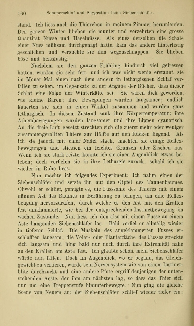 jßO Sommerschlaf und Suggestion beim Siebenschläfer. stand. Ich Hess auch die Thierchen in meinem Zimmer herumlaufen. Den ganzen Winter blieben sie munter und verzehrten eine grosse Quantität Nüsse und Haselnüsse. Als eines derselben die Schale einer Nuss mühsam durchgenagt hatte, kam das andere hinterlistig geschlichen und versuchte sie ihm wegzuschnappen. Sie blieben böse und beisslustig. Nachdem sie den ganzen Frühling hindurch viel gefressen hatten, wurden sie sehr fett, und ich war nicht wenig erstaunt, sie im Monat Mai einen nach dem andern in lethargischen Schlaf ver- fallen zu sehen, im Gegensatz zu der Angabe der Bücher, dass dieser Schlaf eine Folge der Winterkälte sei. Sie waren dick geworden, wie kleine Bären; ihre Bewegungen wurden langsamer; endlich kauerten sie sich in einen Winkel zusammen und wurden ganz lethargisch. In diesem Zustand sank ihre Körpertemperatur; ihre Athembewegungen wurden langsamer und ihre Lippen cyanotisch. An die freie Luft gesetzt streckten sich die zuerst mehr oder weniger zusammengerollten Thiere zur Hälfte auf den Rücken liegend. Als ich sie jedoch mit einer Nadel stach, machten sie einige Reflex- bewegungen und stiessen ein leichtes Grunzen oder Zischen aus. Wenn ich sie stark reizte, konnte ich sie einen Augenblick etwas be- leben; doch verfielen sie in ihre Lethargie zurück, sobald ich sie wieder in Ruhe Hess. Nun machte ich folgendes Experiment: Ich nahm einen der Siebenschläfer und setzte ihn auf den Gipfel des Tannenbaumes. Obwohl er schlief, genügte es, die Fusssohle des Thieres mit einem dünnen Ast des Baumes in Berührung zu bringen, um eine Reflex- beugung hervorzurufen, durch welche es den Ast mit den Krallen fest umklammerte, wie bei der entsprechenden Instinctbewegung im wachen Zustande. Nun liess ich den also mit einem Fusse an einem Aste hängenden Siebenschläfer los. Bald verfiel er allmälig wieder in tieferen Schlaf. Die Muskeln des angeklammerten Fusses er- schlafften langsam; die Volar- oder Plantarfläche des Fusses streckte sich langsam und hing bald nur noch durch ihre Extremität nahe an den Krallen am Aste fest. Ich glaubte schon, mein Siebenschläfer würde nun fallen. Doch im Augenblick, wo er begann, das Gleich- gewicht zu verlieren, wurde sein Nervensystem wie von einem Instinct- blitz durchzuckt und eine andere Pfote ergriff denjenigen der unten- stehenden Aeste, der ihm am nächsten lag, so dass das Thier sich nur um eine Treppenstufe hinunterbewegte. Nun ging die gleiche Scene von Neuem an; der Siebenschläfer schlief wieder tiefer ein: