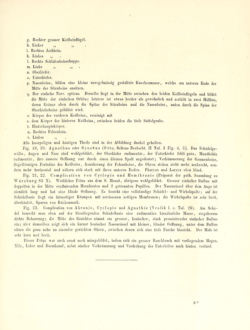 g. Rechter grosser Kcilbcinfliigel. h. Linker ,, „ i. Rechtes Jochbein. k. Linkes ,, 1. Rechte Schläfenbeinschuppe. m. Linke „ ,, n. Oberkiefer. 0, Unterkiefer. p. Nasenbeine, bilden eine kleine unregelniässig gestaltete Knochenmasse, welche am unteren Ende der Mitte der Slirnheine ansitzen. q. Der einfache Nerv, opticus. Derselbe liegt in der Mitte zwischen den beiden Keilbeinfliigeln und bildet die Mitte der einfachen Orbita; letztere ist etwas breiter als gewöhnlich nnd zerfällt in zwei Hälften deren Gränze oben durch die Spitze der Stirnbeine und die Nasenbeine, unten durch die Spina der Oberkieferbeine gebildet wird. r. Körper des vorderen Keilbeins, vereinigt mit s. dem Körper des hinteren Keilbeins, zwischen beiden die tiefe Sattelgrube, t. Hinterhauptskörper. u. Rechtes Felsenbein. T. Linkes ,, Alle knorpeligen und häutigen Thcile sind in der Abbildung dunkel gehalten. Fig. 19, 20. Agnalhus oder Syuotus (Otto, Seltene Beobacht. II Taf. 3 Fig. 4, 5). Das Schädelge- wölbe, Äugen und Nase sind wohlgebildet, der Oberkiefer rudimentär, der Unterkiefer fehlt ganz, Mundhöhle rudimentär, ihre äussere Oeffnung nur durch einen kleinen Spalt augedeutet; Verkümmerung der Gaumenbeine, üiigelfürmigen Fortsätze des Keilbeins, Annäherung der Felsenbeine, die Ohren stehen nicht mehr senkrecht, son- dern mehr horizontal und nähern sich stark mit ihren unteren Enden. Pharynx und Larynx oben blind. Fig. 21, 22. Complication von Cyclopic und Heniikranie (Präparat der path. Sammlung zu Würz bürg 85 X). Weiblicher Fötus aus dem 8. Monat, übrigens wohlgebildet. Grosser einfacher Bulbus mit doppelten in der Mitte confluirenden Hornhäuten und 2 getrennten Pupillen. Der Nasenrüssel über dem Auge ist ziemlich lang und hat eine blinde Oeffnung. Es besteht eine vollständige Schädel- und Wirbelspalte; auf der Schädelbasis liegt ein hirnartiger Klumpen mit zerrisseneu zottigen Membranen; die Wirbclspalte ist sehr breit, überhäutet, Spuren von Rückenmark. Fig. 23. Complication von Akranie, Cyclopie und Agnathie (Vrolik 1. c. Taf. 26). Am Schä- del bemerkt man oben auf der blossliegenden Schädelbasis eine rudimentäre hirnähnliche Masse, ringsherum dichte Behaarung; die Mitte des Gesichtes nimmt ein grosser, konischer, stark prominircnder einfacher Bulbus ein; übrr demselben zeigt sich ein kurzer konischer Nasenrüssel mit kleiner, blinder Oeffnung, unter dem Bulbus sitzen die ganz nahe an einander gerückten Ohren , zwischen denen sich eine tiefe Furche hinzieht. Der Hals ist sehr kurz und breit. Dieser Fötus war auch sonst noch missgebildet, indem sich ein grosser Baurhbruch mit vorliegendem Magen, Milz, Leber und Darmkanal, nebst starker Verkrümmung und Verdrehung des Unterleibes nach hinten vorfand. 6*