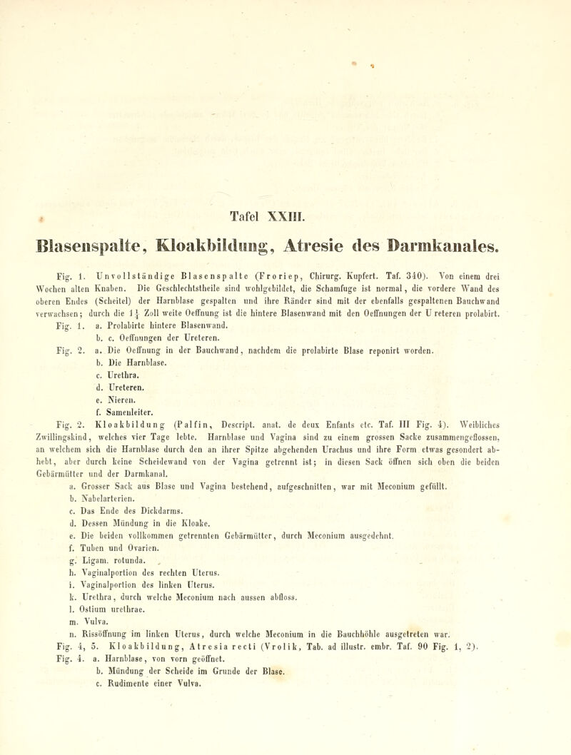 Blaseiispaite, Kloakbildimg, Atresie des Darmkanales. Fig. 1. Unvollständige Blasenspaltc (Froriep, Chirurg. Kupfert. Taf. 340). Von einem drei Wochen alten Knaben. Die Geschlechlstlieile sind wohlgebildct, die Schamfuge ist normal, die vordere Wand des oberen Endes (Scheitel) der Harnblase gespalten und ihre Ränder sind mit der ebenfalls gespaltenen Bauchwand verwachsen; durch die 1-| Zoll weite Oeffnung ist die hintere Blasenwand mit den Oeffnungen der U reteren prolabirt. Fig. 1. a. Prolabirte hintere Blasenwand, b. c. Oeffnungen der Ureteren. Fig. 2. a. Die Oeffnung in der Bauchwand, nachdem die prolabirte Blase reponirt worden. b. Die Harnblase. c. Urethra. d. Ureteren. e. Nieren. f. Samenleiter. Fig. 2. Kloakbildung (Palfin, Descript. anat. de deux Enfants clc. Taf. HI Fig. 4). Weibliches Zwillingskind, welches vier Tage lebte. Harnblase und Vagina sind zu einem grossen Sacke zusammengeflossen, an welchem sich die Harnblase durch den an ihrer Spitze abgehenden Urachus und ihre Form etwas gesondert ab- hebt, aber durch keine Scheidewand von der Vagina getrennt ist; in diesen Sack öffnen sich oben die beiden GebärmiiKer und der Darmkanal. a. Grosser Sack aus Blase und Vagina bestehend, aufgeschnitten, war mit Meconium gefüllt. b. Nabelarterien. c. Das Ende des Dickdarms. d. Dessen Mündung in die Kloake. e. Die beiden vollkommen getrennten Gebärmutter, durch Meconium ausgedehnt. f. Tuben und Ovarien. g. Ligam. rotunda. , '. . ' . , • '■ h. Vaginalporlion des rechten Uterus. .' , i. Vaginalporlion des linken Uterus. . -  ; , k. Urethra, durch welche Meconium nach aussen abfloss. ' . , 1. Ostium urelhrae. . ' m. Vulva. n. Rissöffnung im linken Uterus, durch welche Meconium in die Bauchhöhle ausgetreten war. Fig. 4, 5. Kloakbildung, Atrcsiarccti (Vrolik, Tab. ad illustr. embr. Taf. 90 Fig. 1, 2). Fig. 4. a. Harnblase, von vorn geöffnet. b. Mündung der Scheide im Grunde der Blase. , • . , c. Rudimente einer Vulva. -