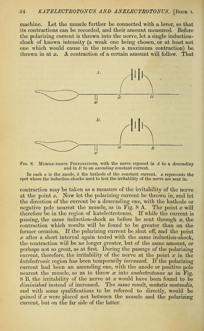 machine. Let the muscle further be connected with a lever, so that its contractions can be recorded, and their amount measured. Before the polarizing current is thrown into the nerve, let a single induction- shock of known intensity (a weak one being chosen, or at least not one which would cause in the muscle a maximum contraction) be thrown in at x. A contraction of a certain amount will follow. That A. a B. a Fig. 8. Muscle-nerve Preparations, with the nerve exposed in A to a descending and in B to an ascending constant current. In each a is the anode, k the kathode of the constant current, x represents the spot where the induction-shocks used to test the irritability of the nerve are sent in. contraction may be taken as a measure of the irritability of the nerve at the point x. Now let the polarizing current be thrown in, and let the direction of the current be a descending one, with the kathode or negative pole nearest the muscle, as in Fig. 8 A. The point x will therefore be in the region of katelectrotonus. If while the current is passing, the same induction-shock as before be sent through x, the contraction which results will be found to be greater than on the former occasion. If the polarizing current be shut off, and the point x after a short interval again tested with the same induction-shock, the contraction will be no longer greater, but of the same amount, or perhaps not so great, as at first. During the passage of the polarizing current, therefore, the irritability of the nerve at the point x in the katelectronic region has been temporarily increased. If the polarizing current had been an ascending one, with the anode or positive pole nearest the muscle, so as to throw x into anelectrotonus as in Fig. 8 B, the irritability of the nerve at x would have been found to be diminished instead of increased. The same result, mutatis mutandis, and with some qualifications to be referred to directly, would be gained if x were placed not between the muscle and the polarizing current, but on the far side of the latter.